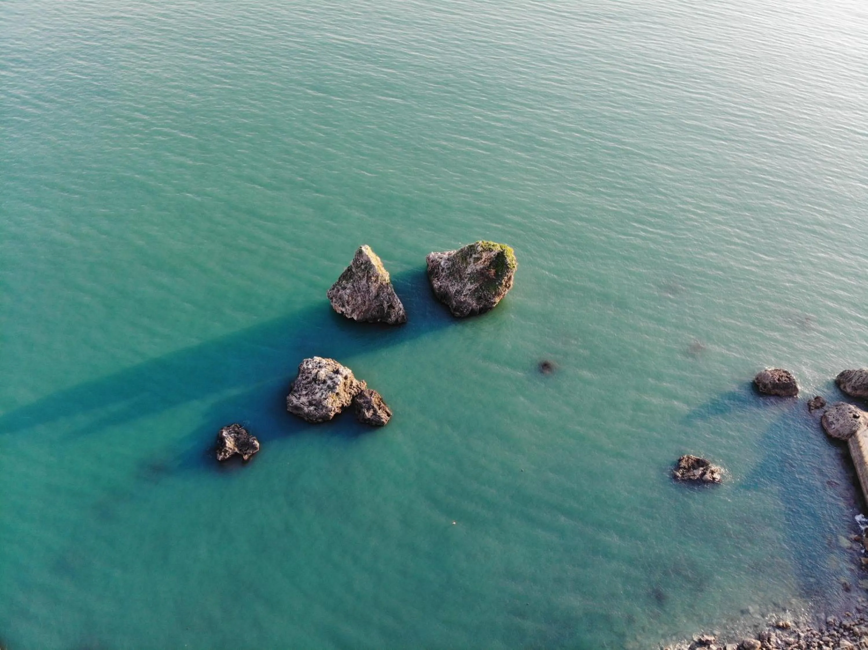 Other in B&B Palazzo Pinto