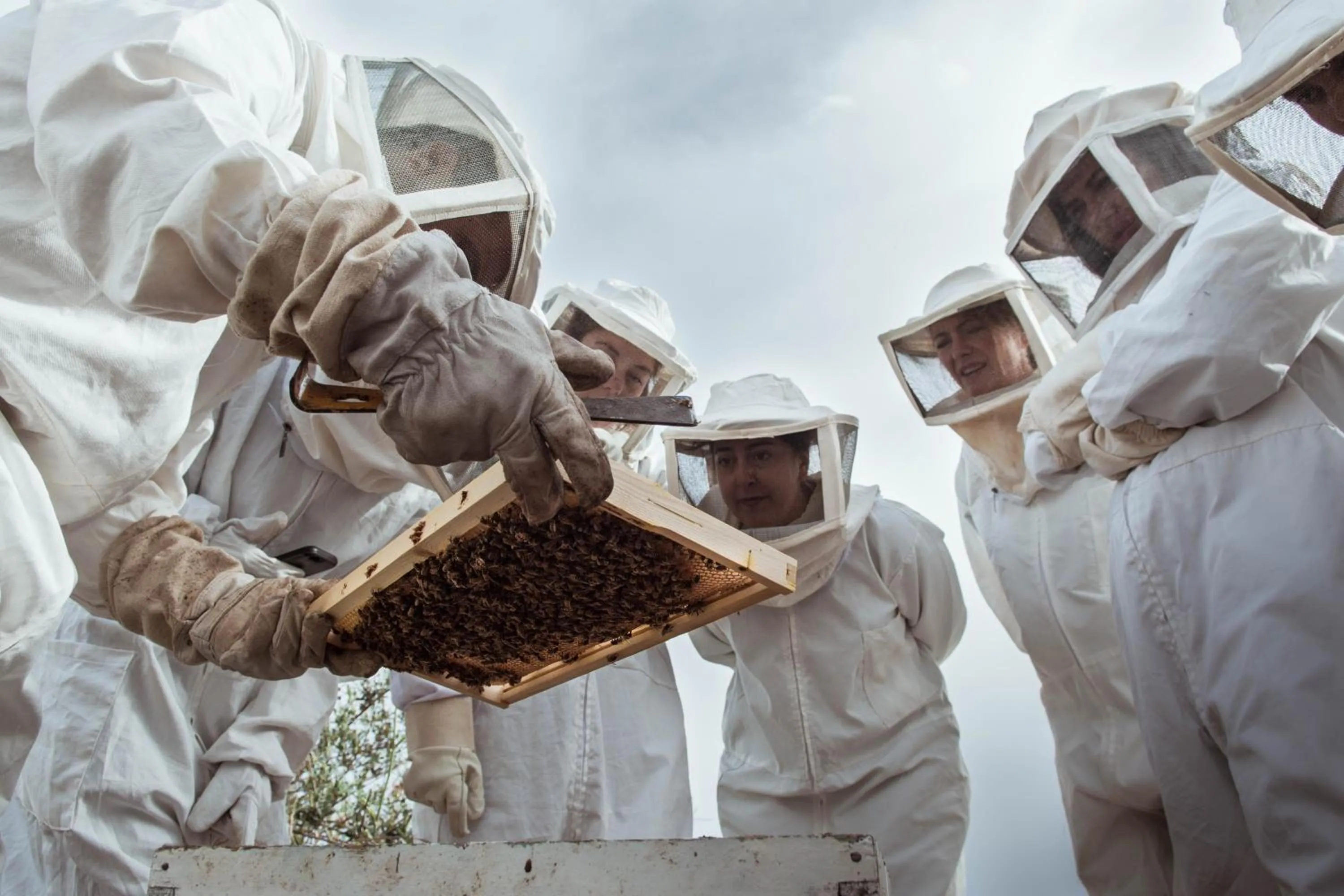 Activities in Beit Al Baraka