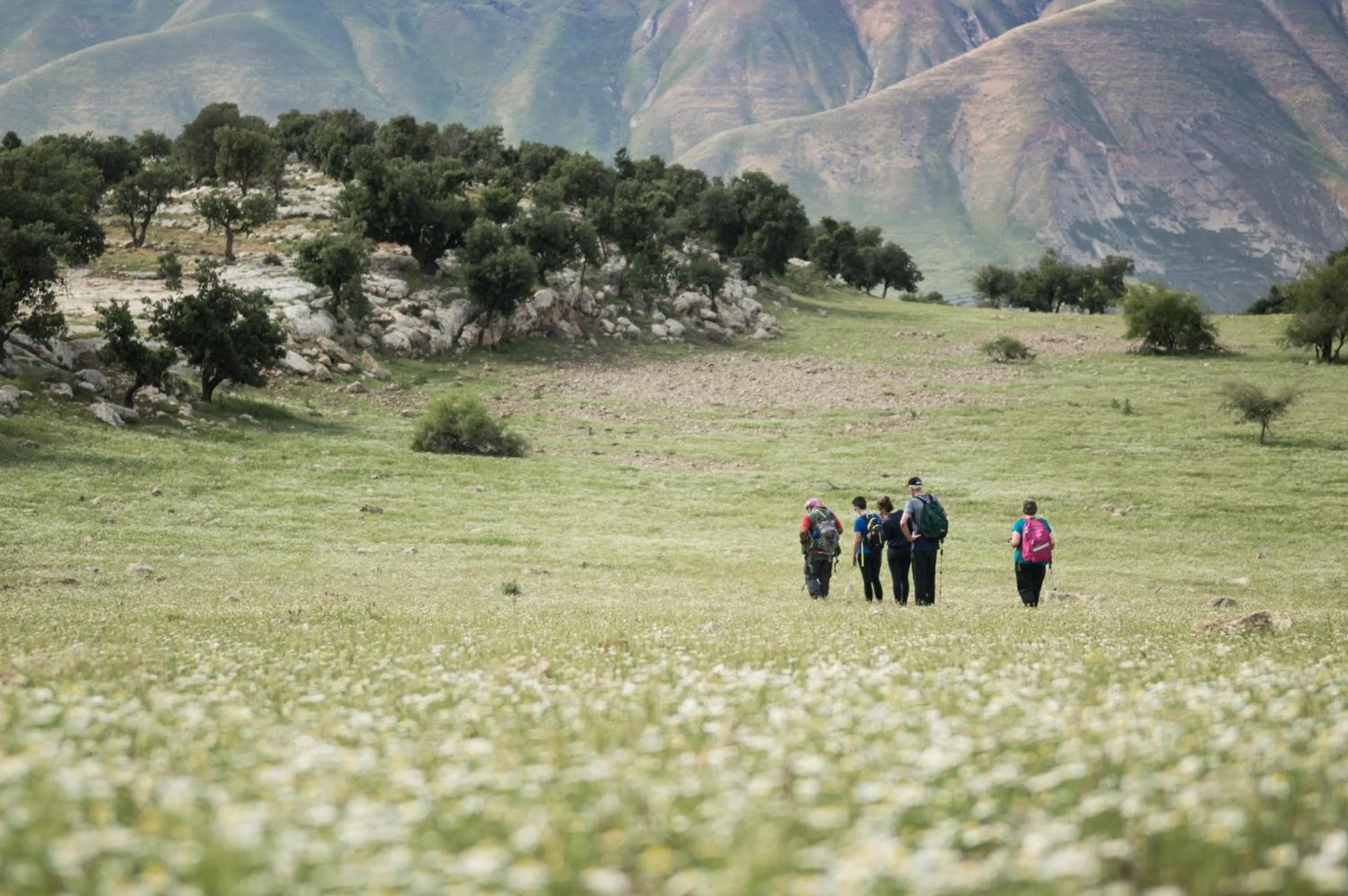 Natural landscape in Beit Al Baraka