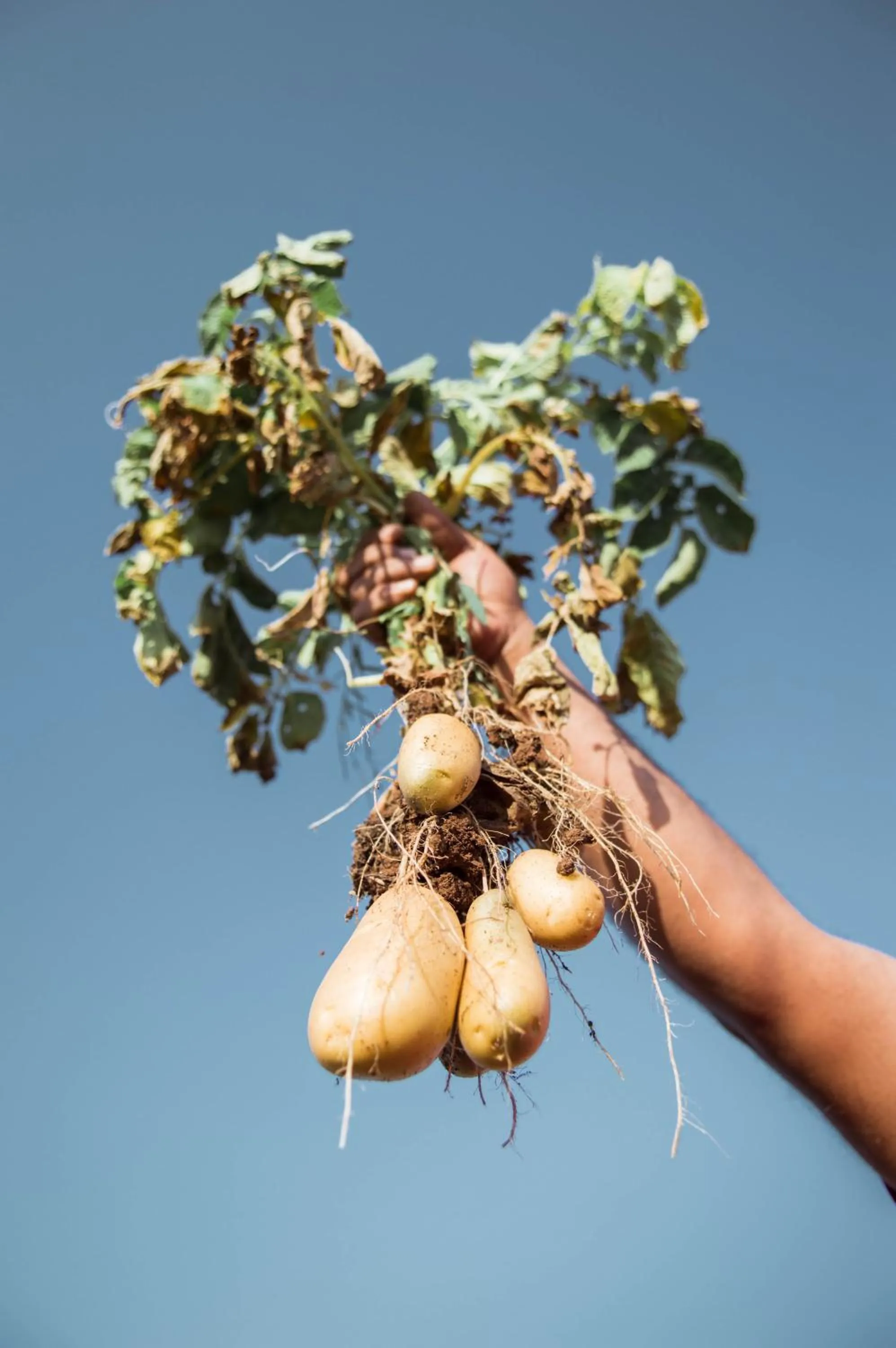 Activities in Beit Al Baraka