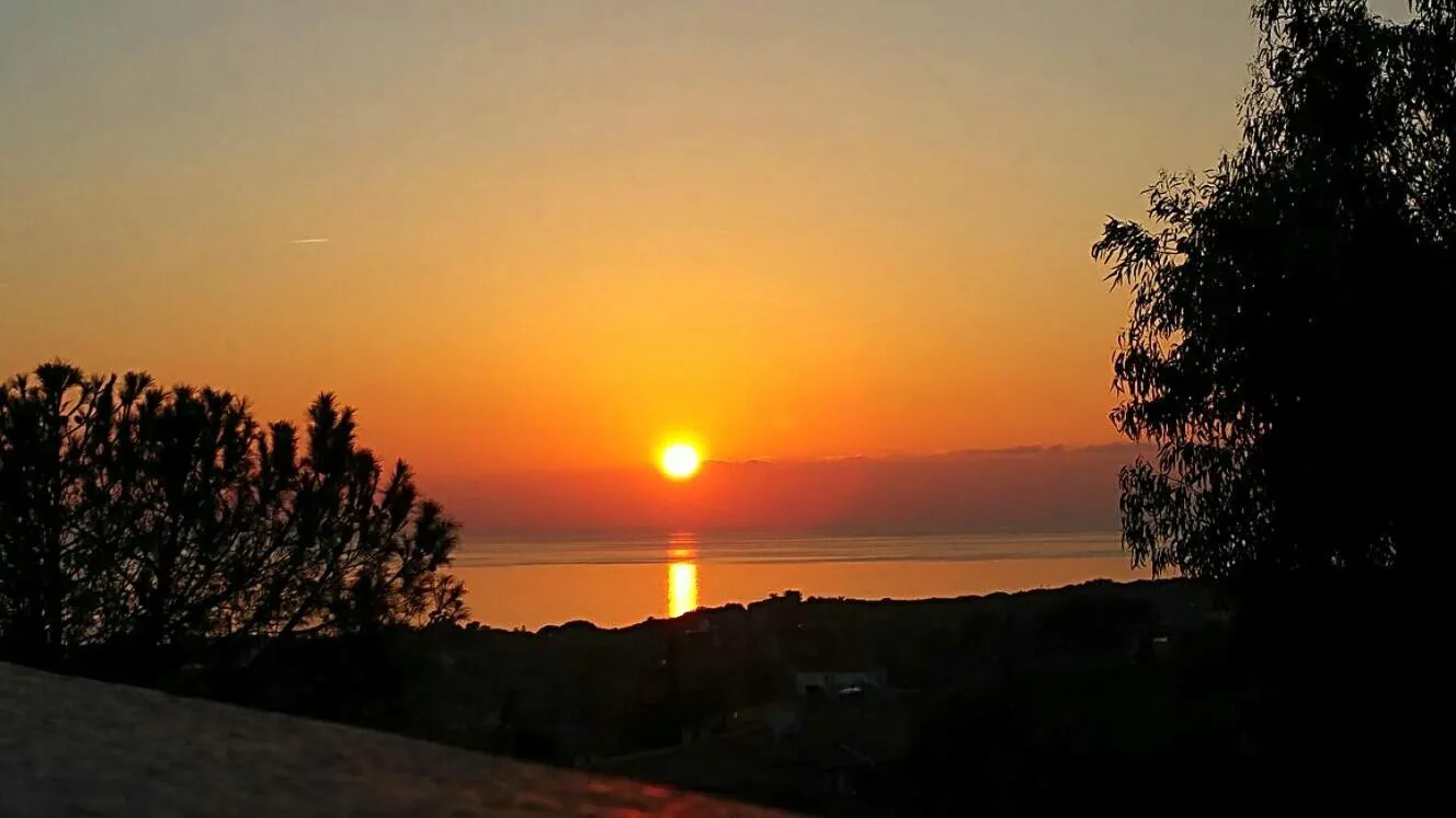 View (from property/room) in Costa del Sole