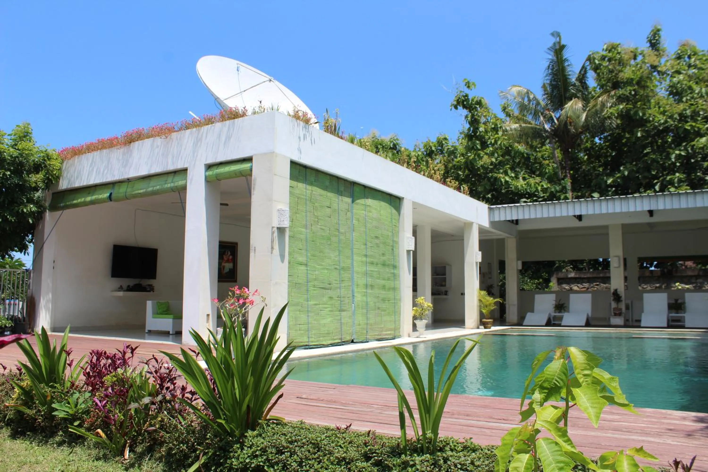Villa Putih Lovina