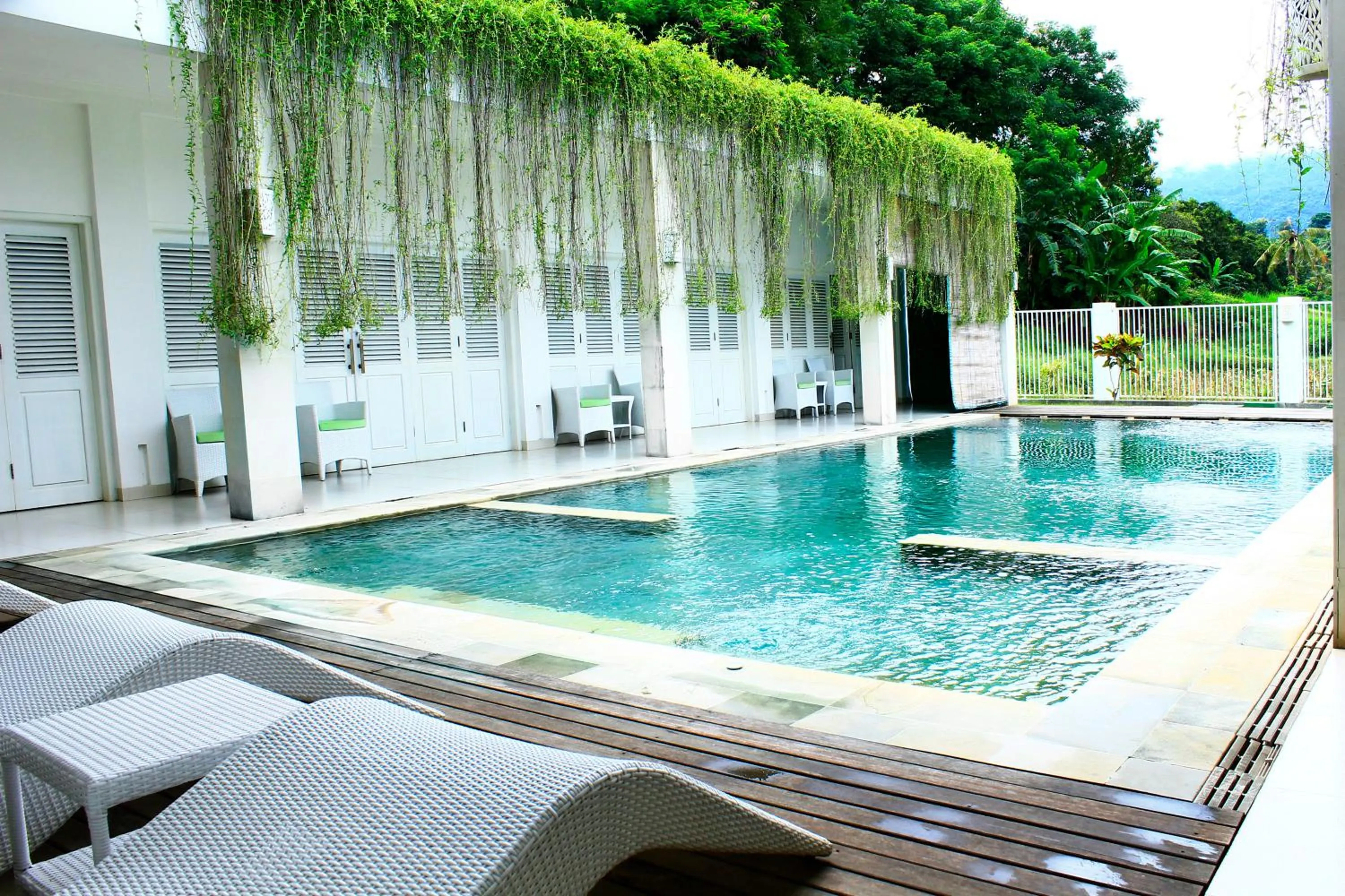 Villa Putih Lovina