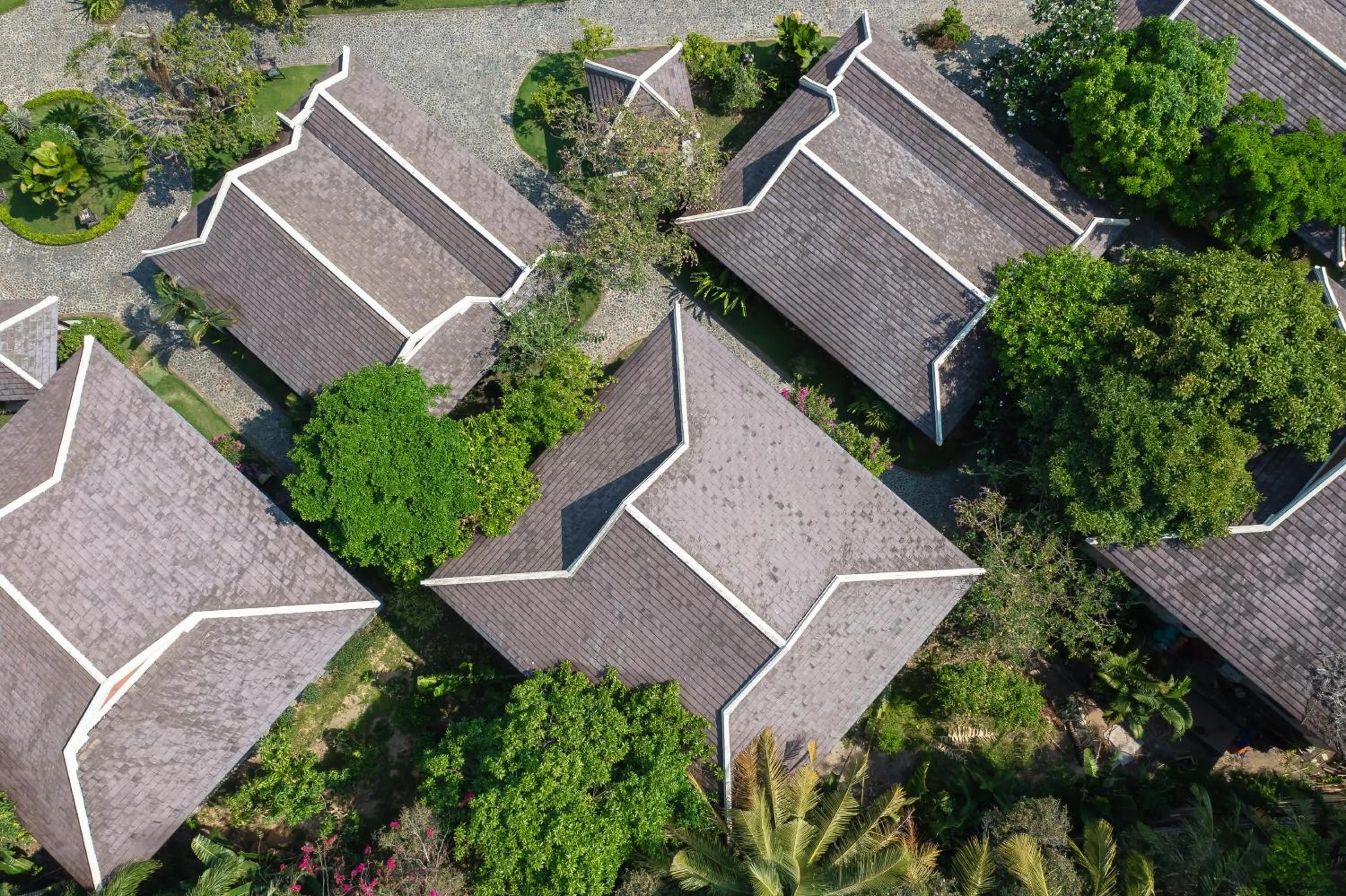 Natural landscape in Anja Beach Resort & Spa