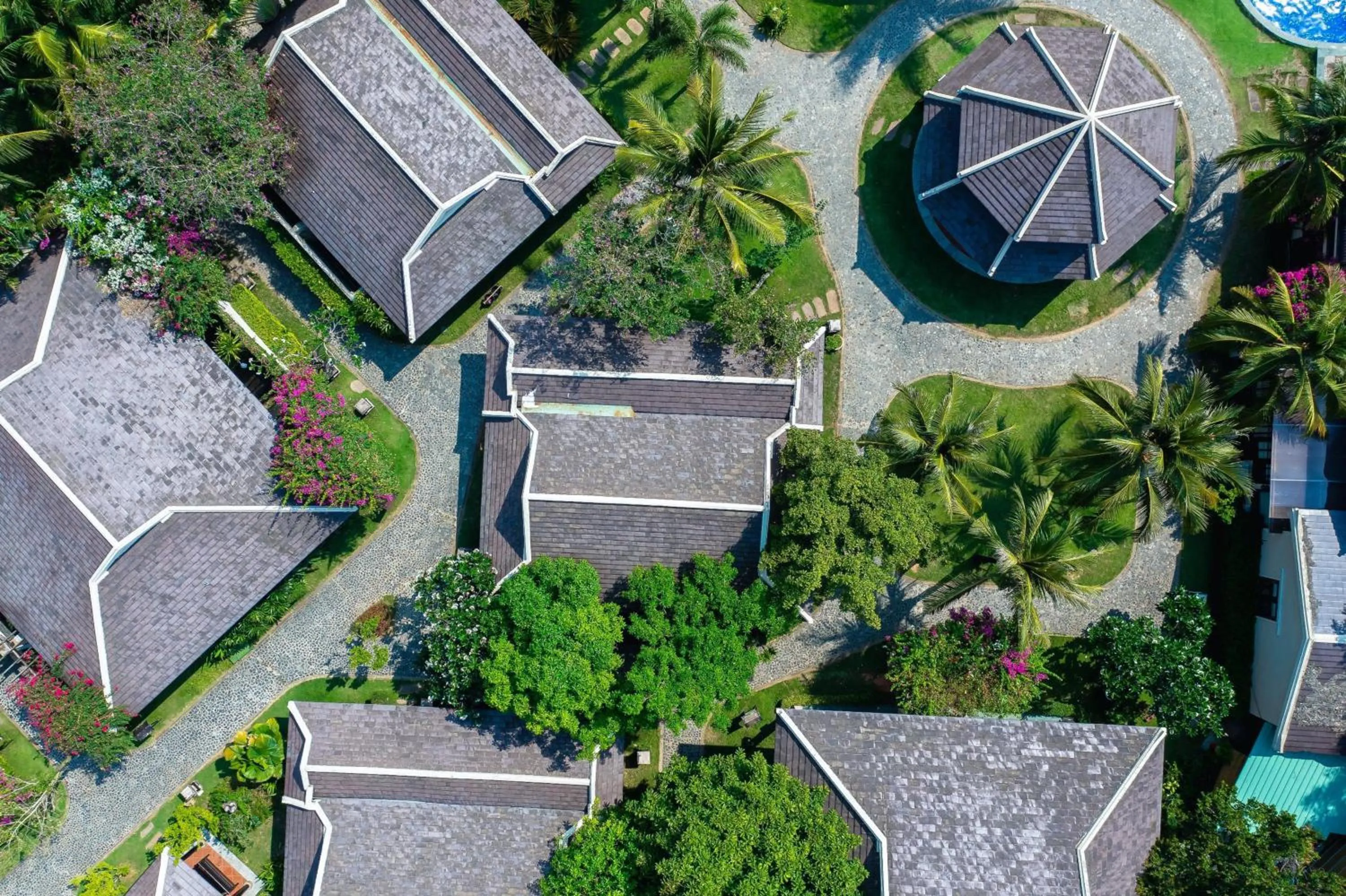 Natural landscape in Anja Beach Resort & Spa