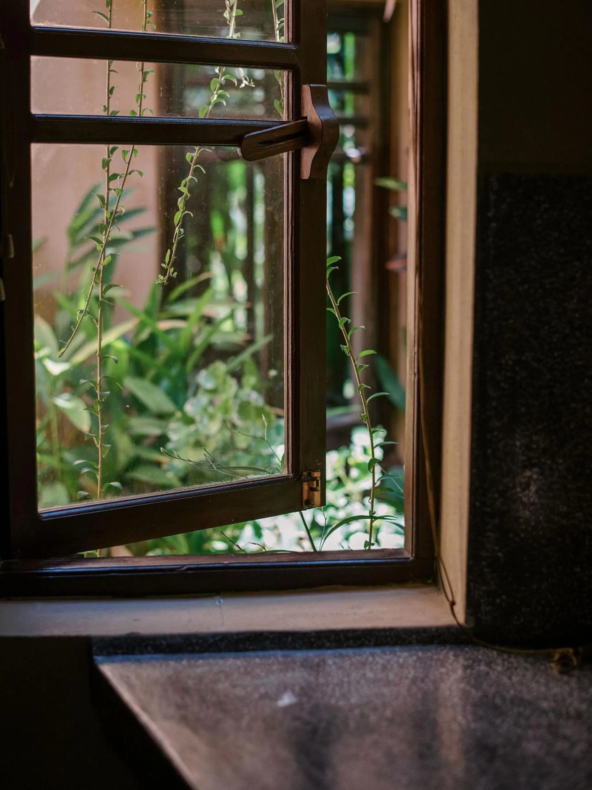 Garden view in An Villa boutique resort