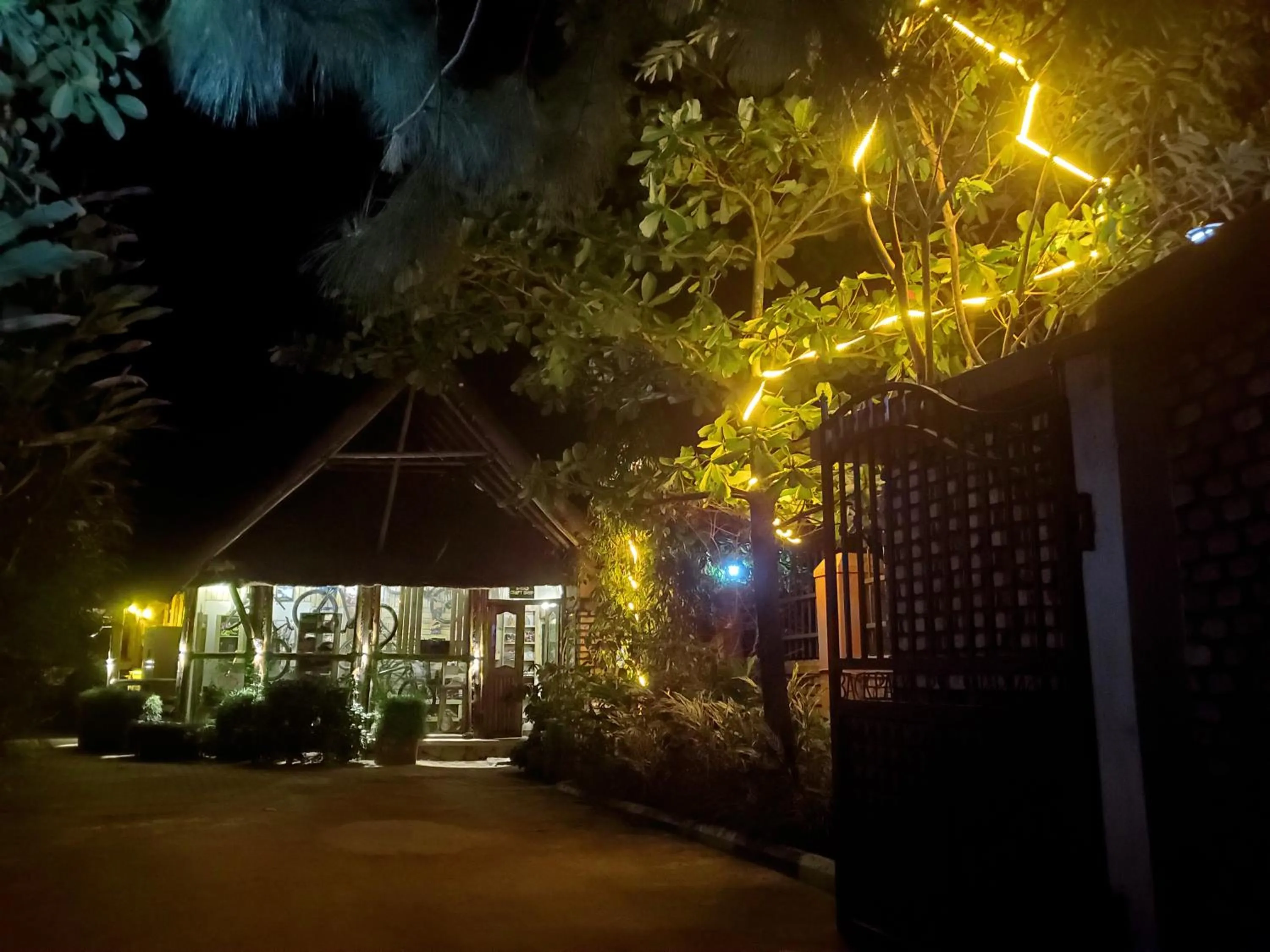 Night in Elite Backpackers Services