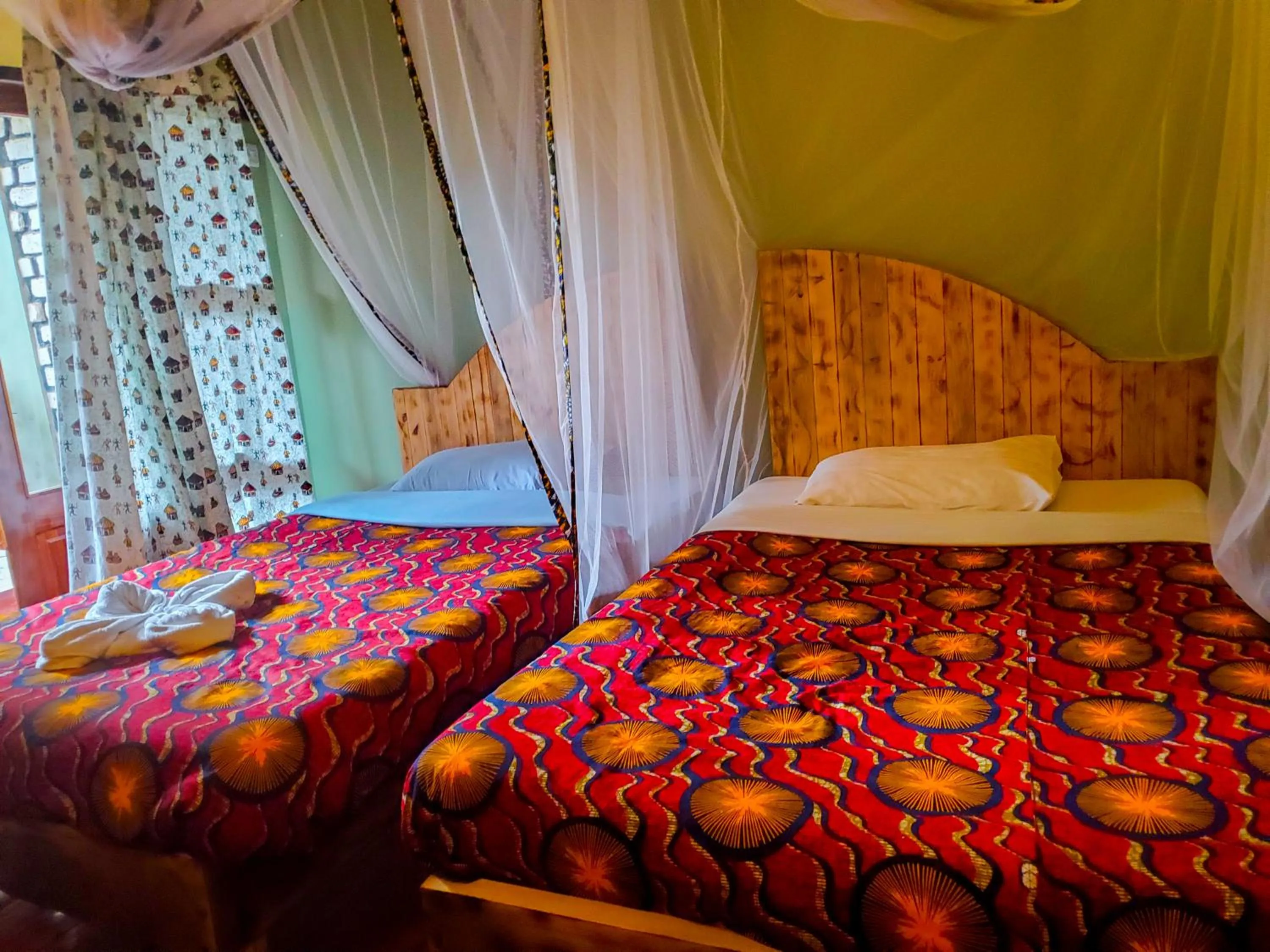 Bed in Elite Backpackers Services