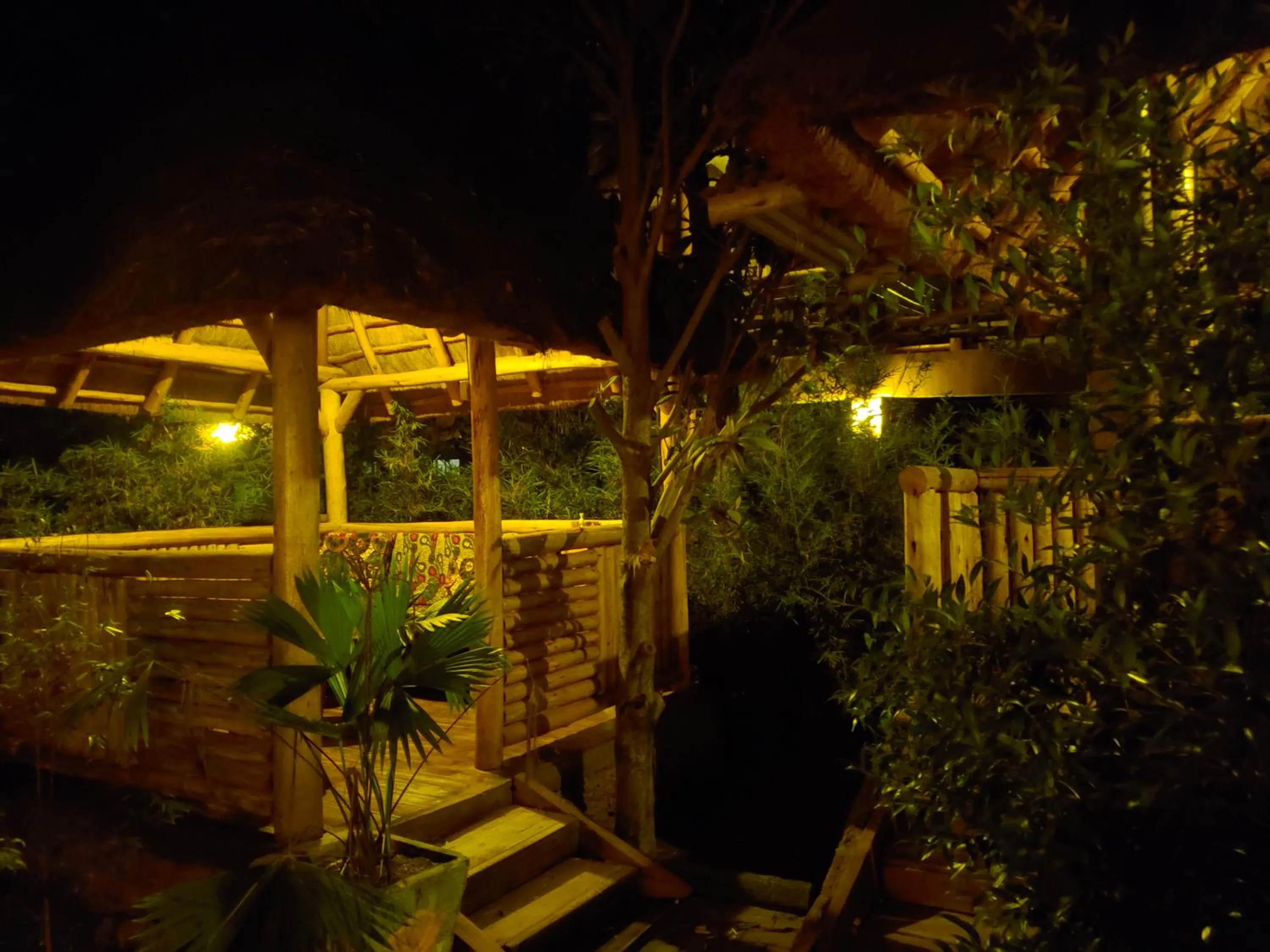 Elite Backpackers Services