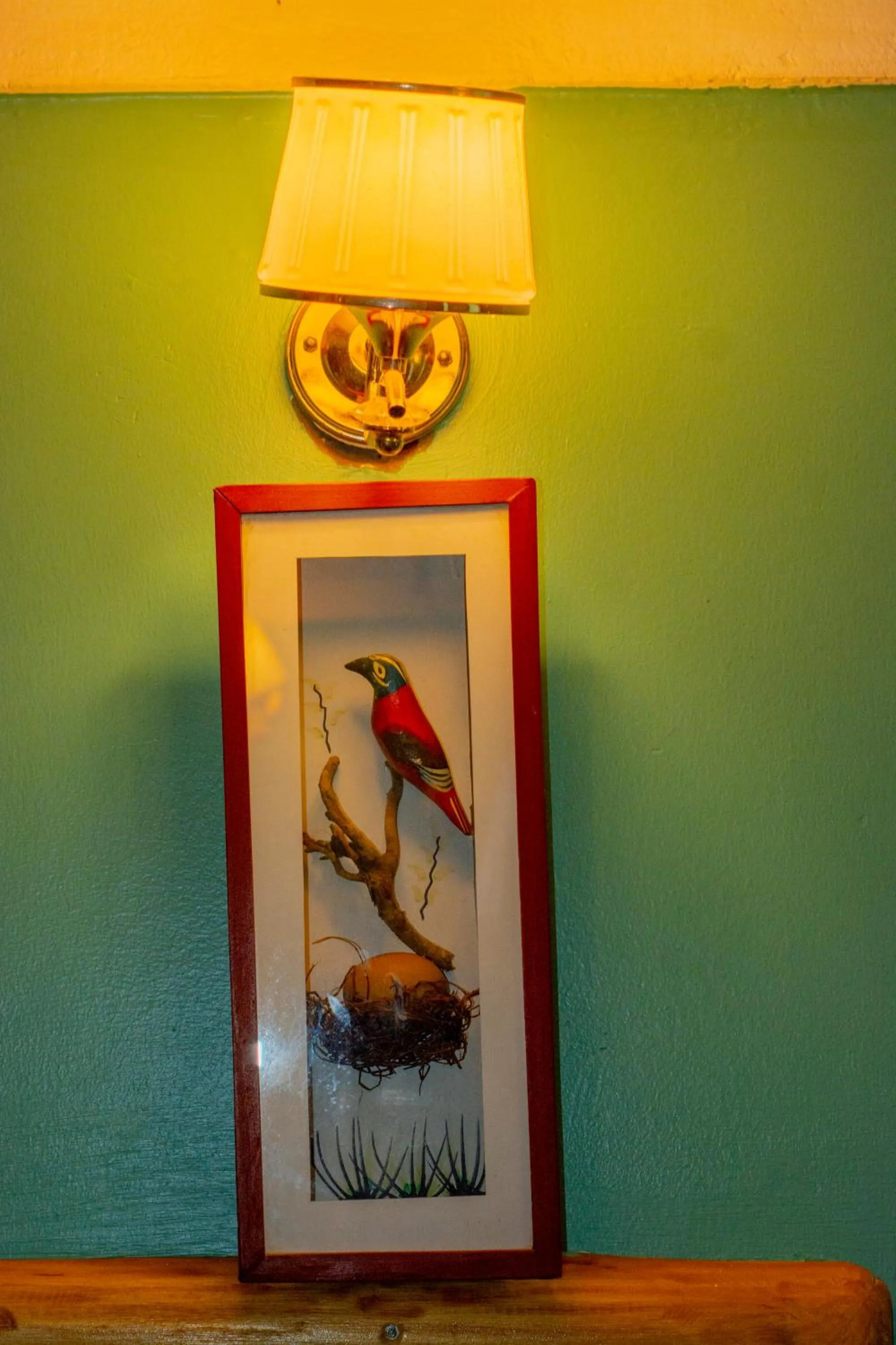 Elite Backpackers Services