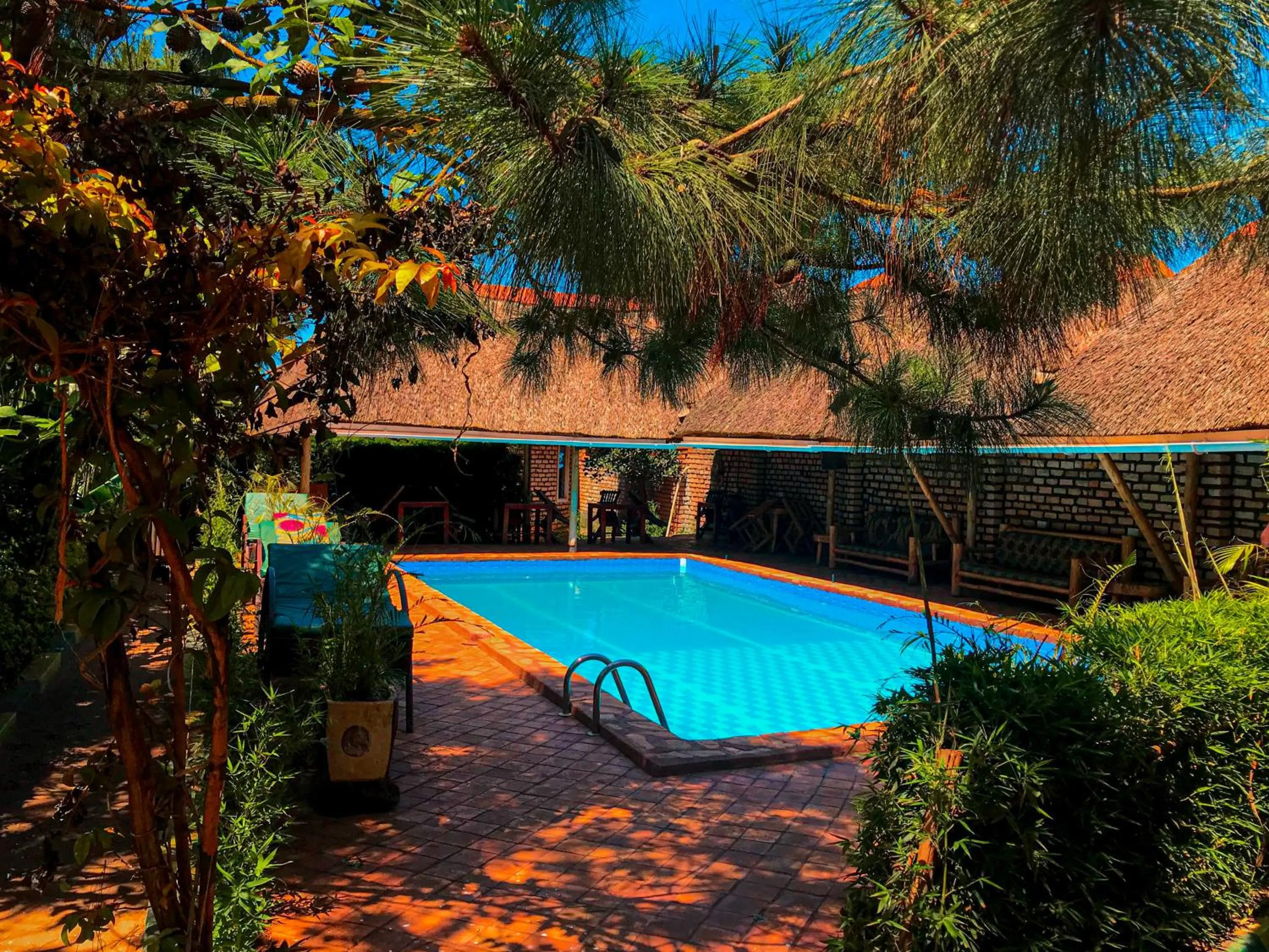 Swimming pool in Elite Backpackers Services