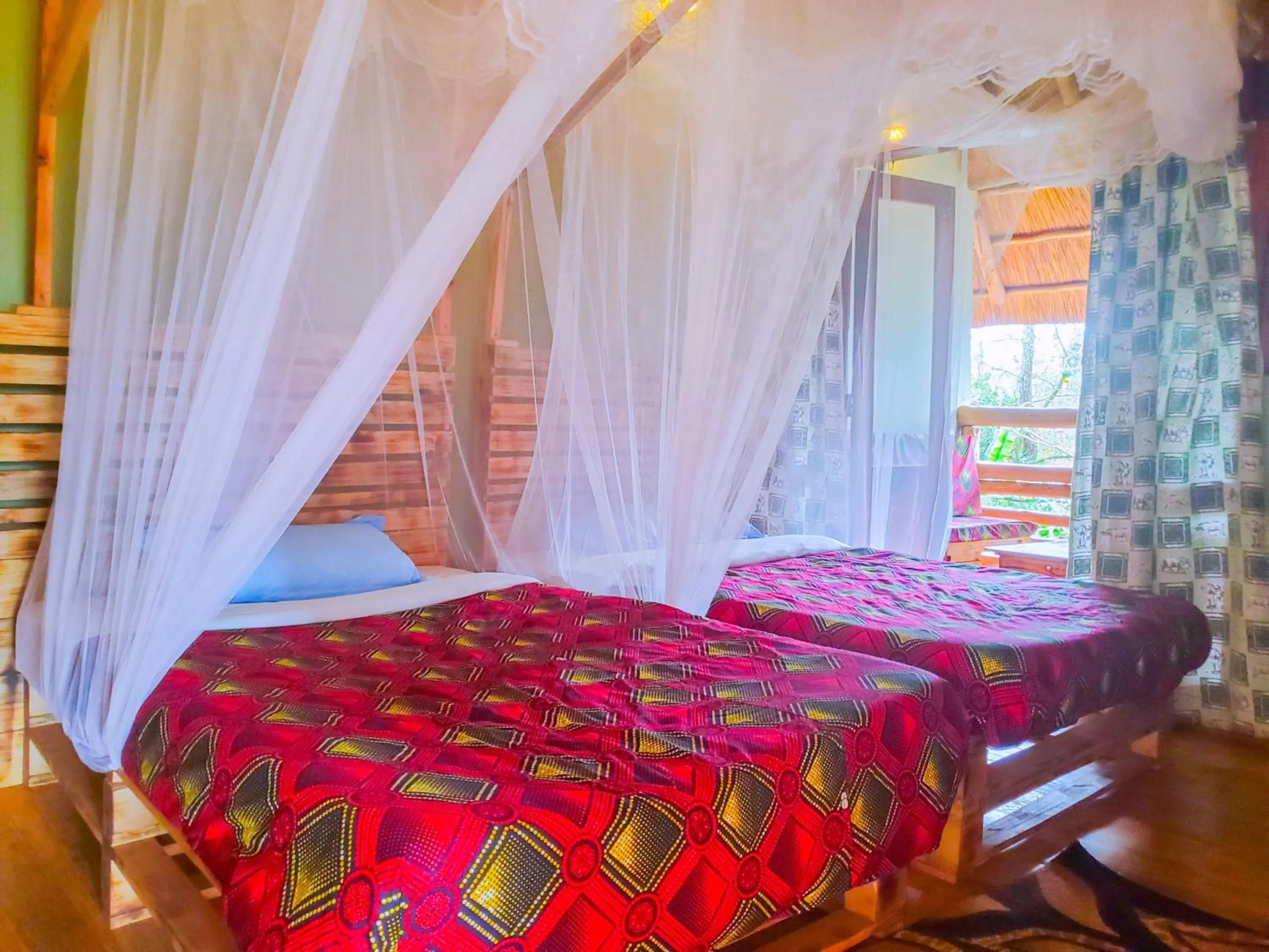 Bed in Elite Backpackers Services