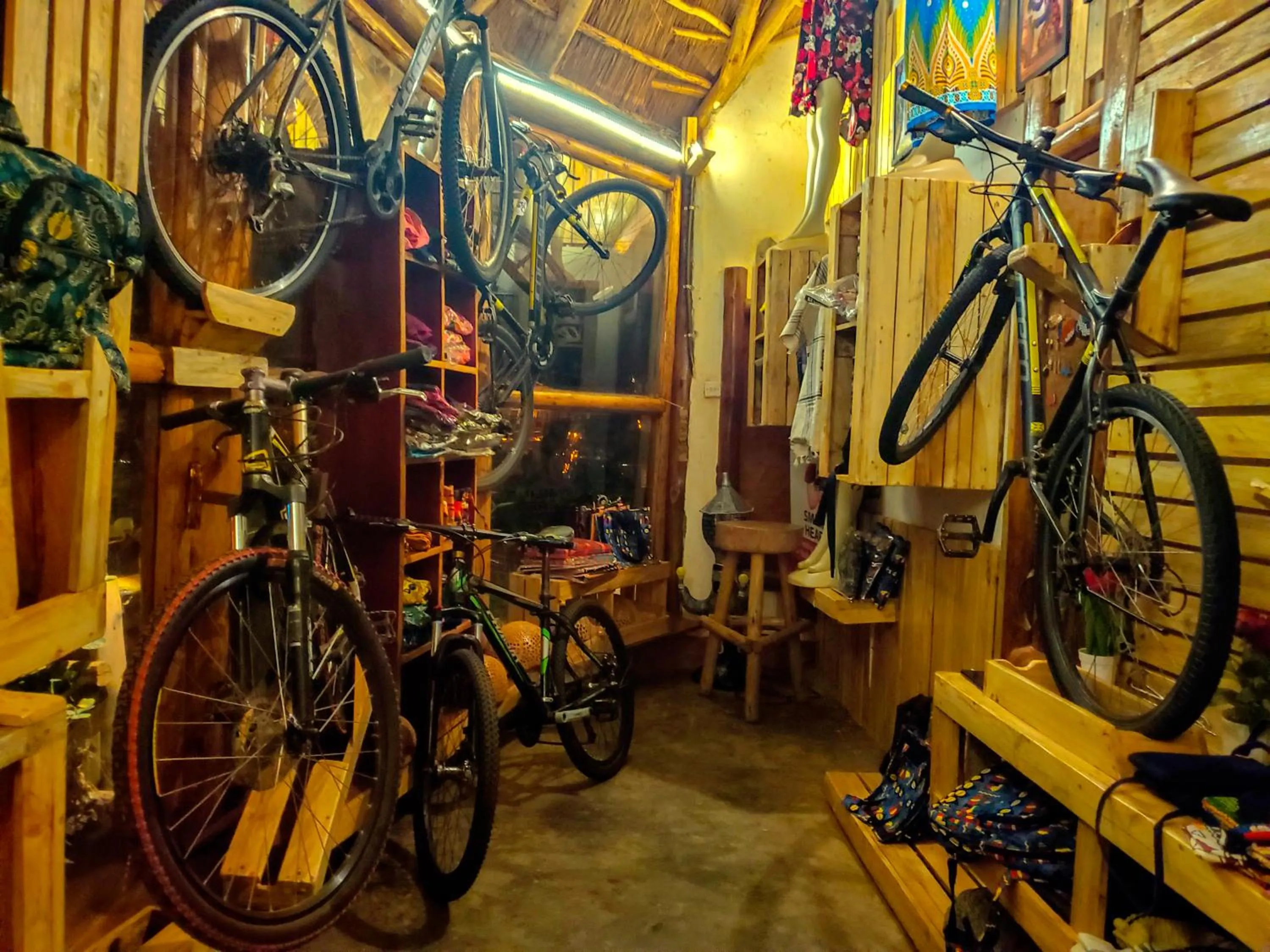 Cycling in Elite Backpackers Services