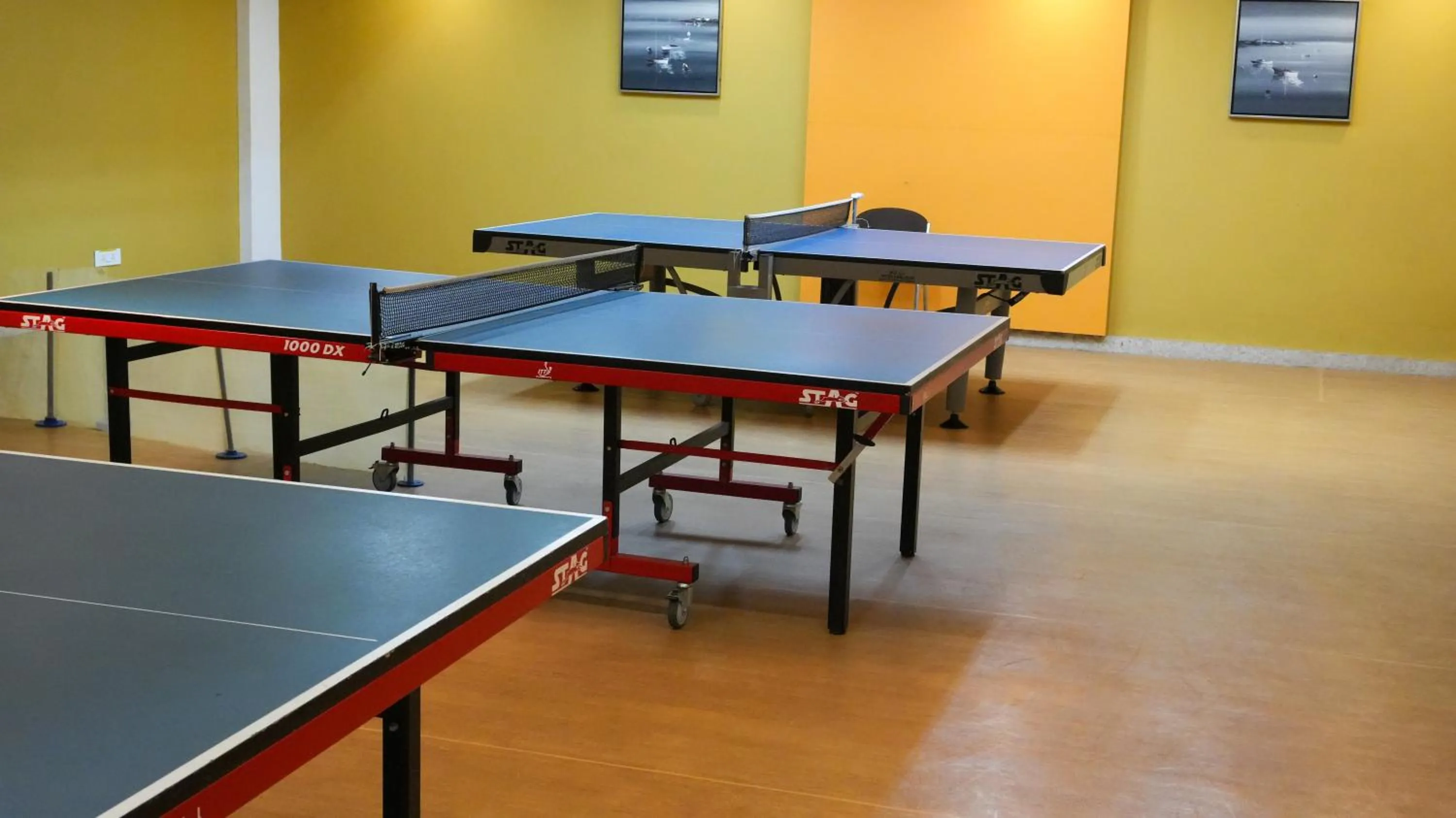 Sports in Club Emerald