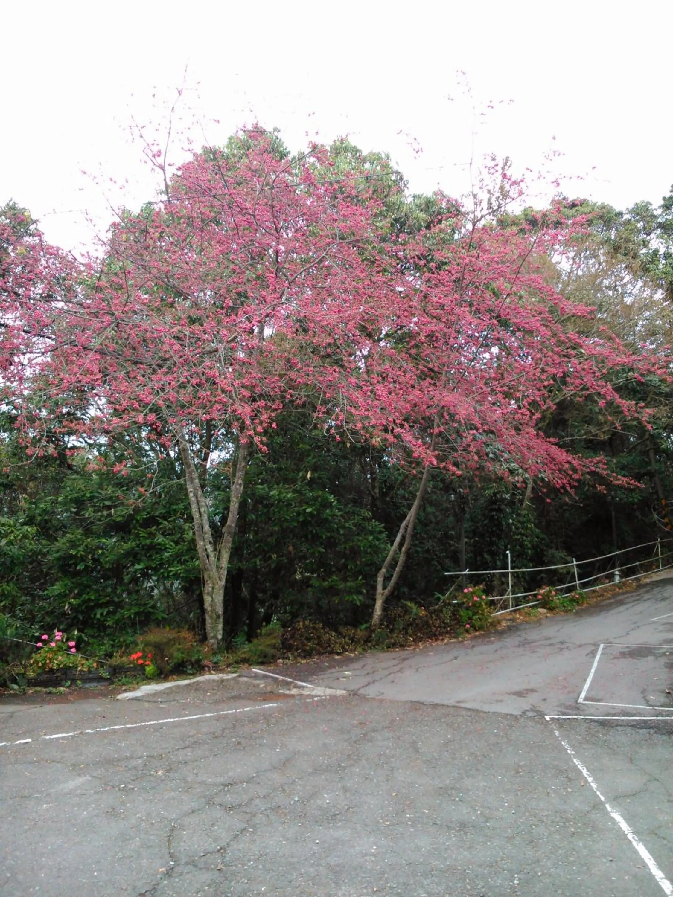 Property building in Bokelai B&B