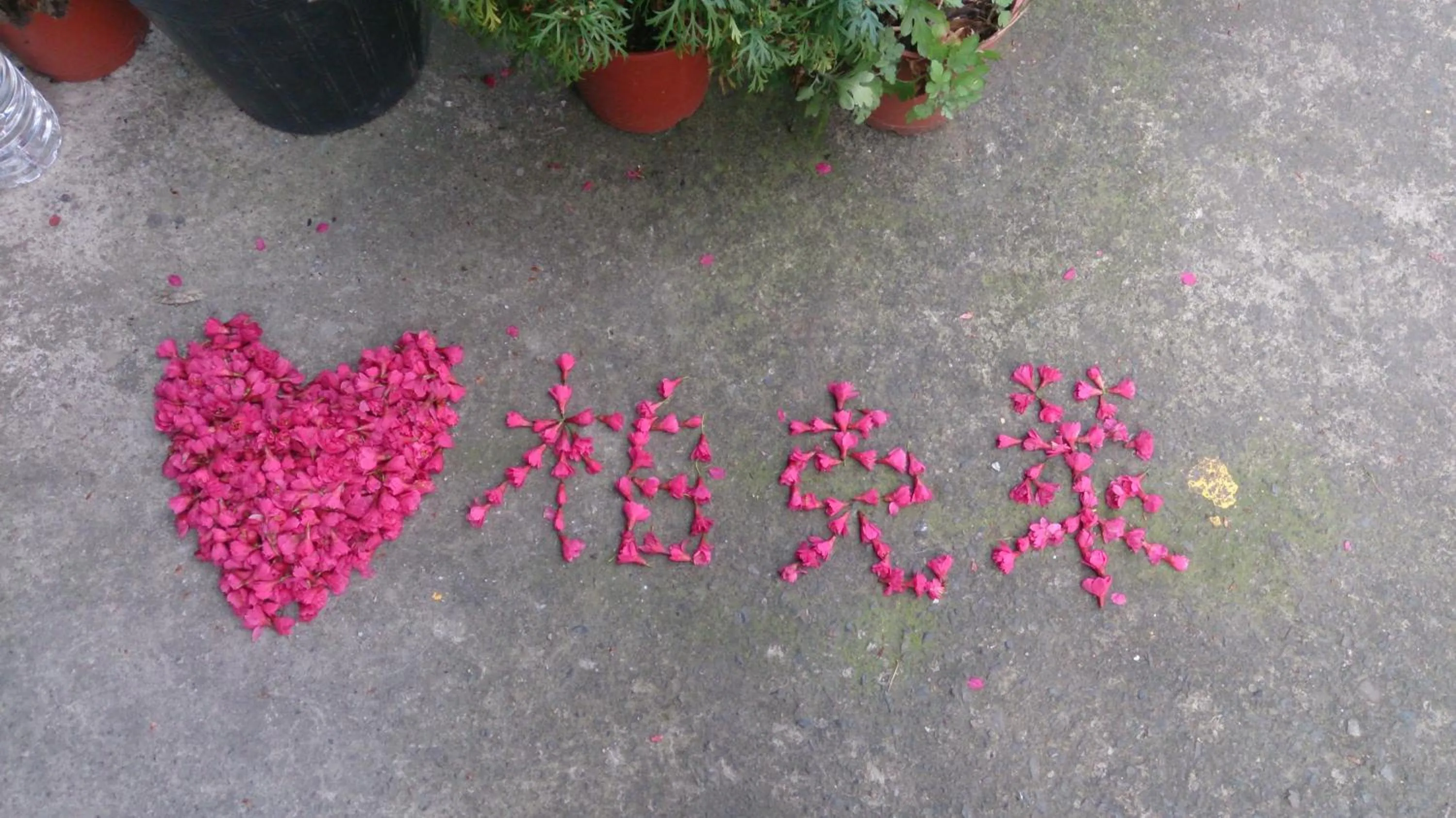 Other in Bokelai B&B