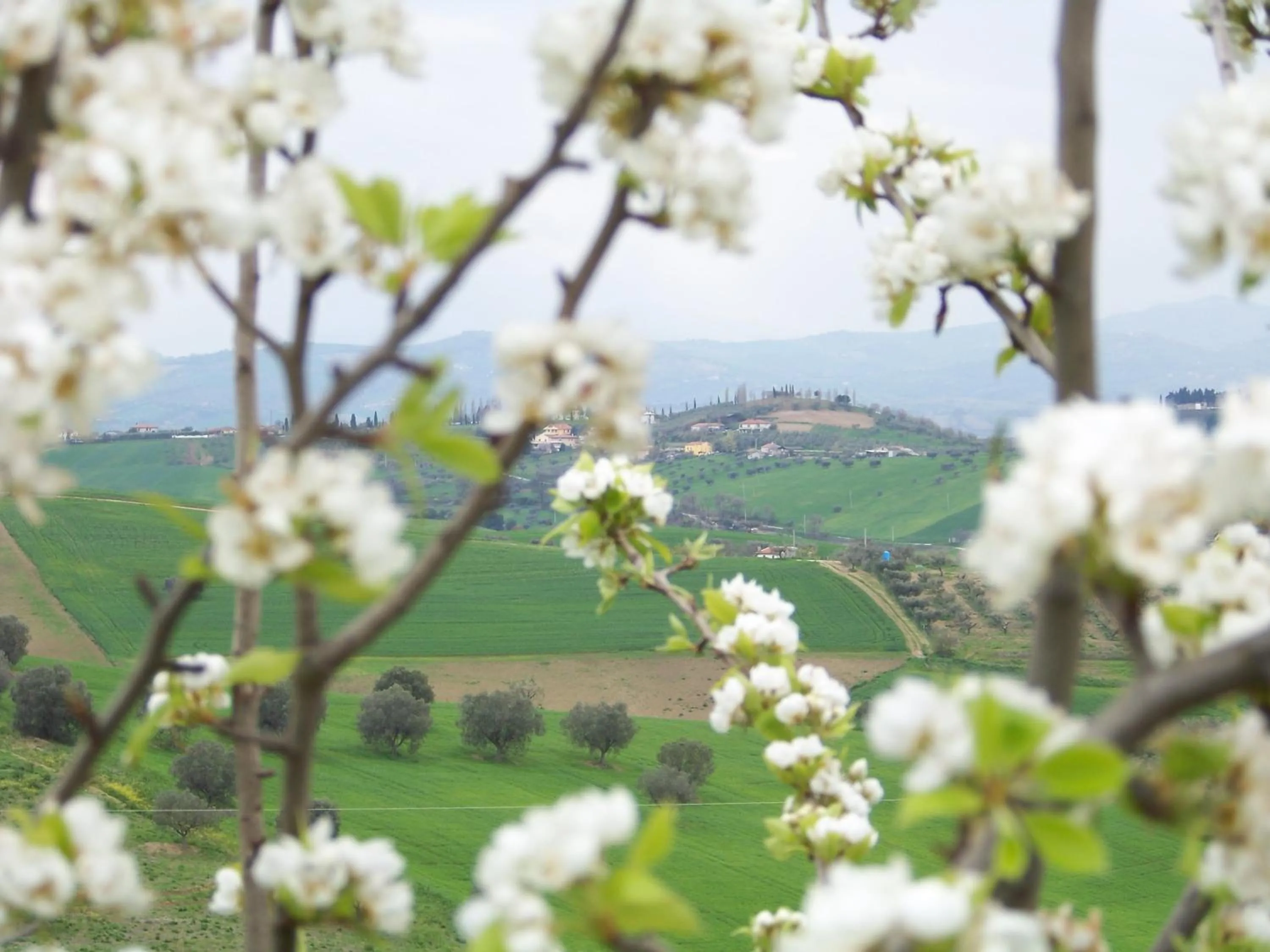 Natural landscape in Casa Cologna Appartementen