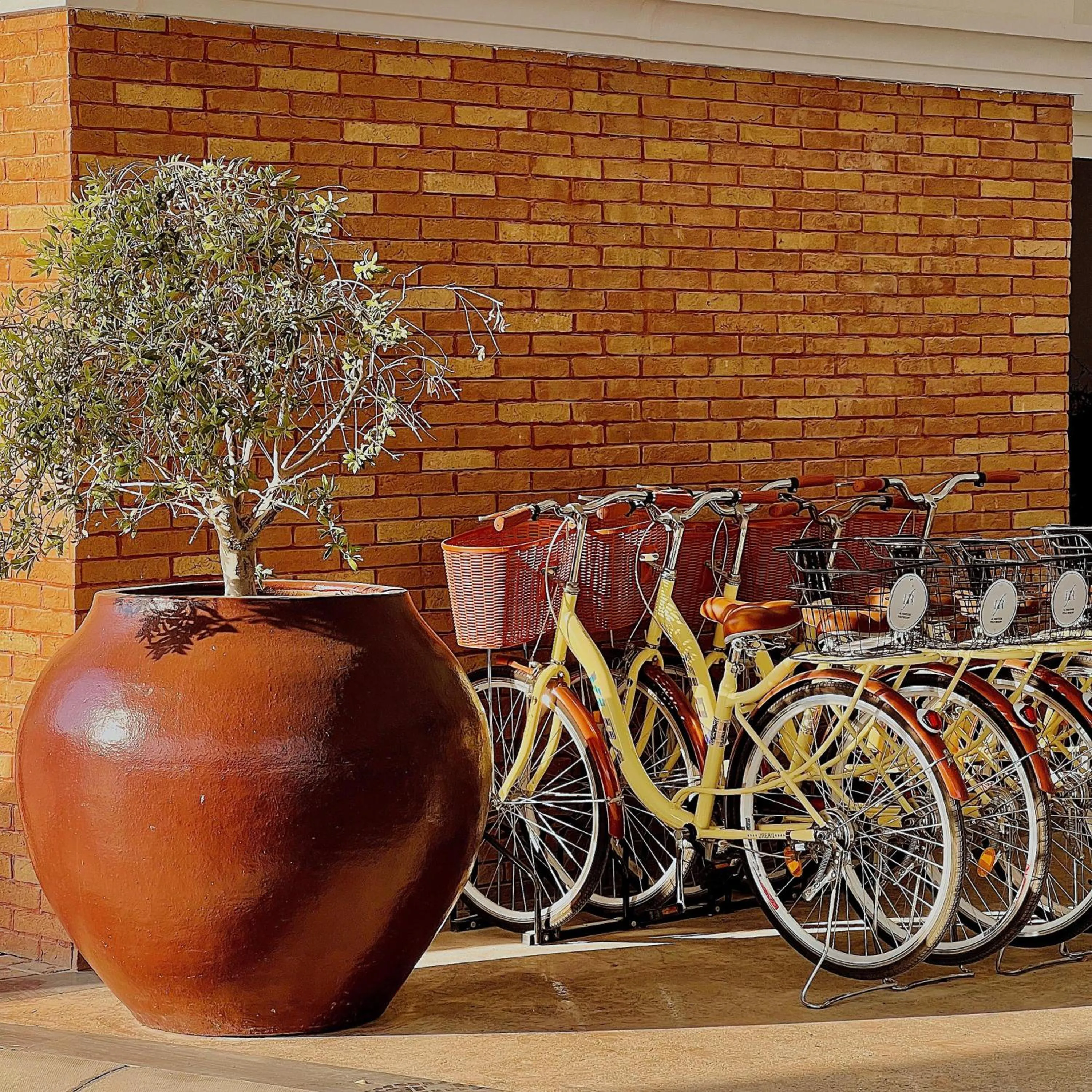 Cycling in Al Habtoor Polo Resort