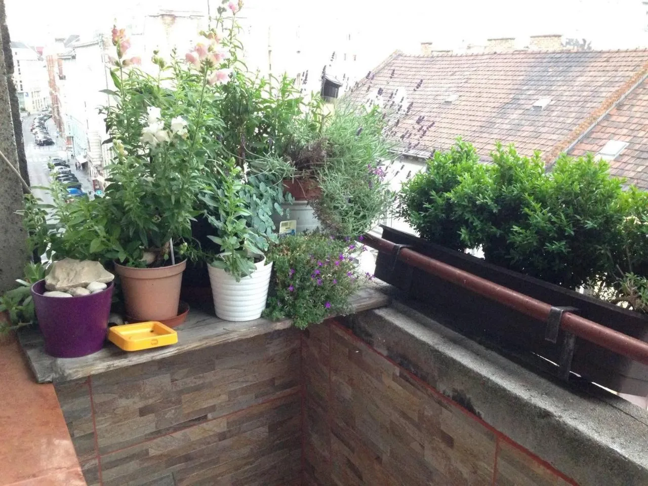 Lonyay Street Apartment