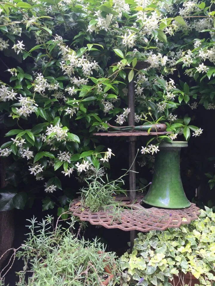 Patio in 1 Square du Docteur Blanche - Paris 16