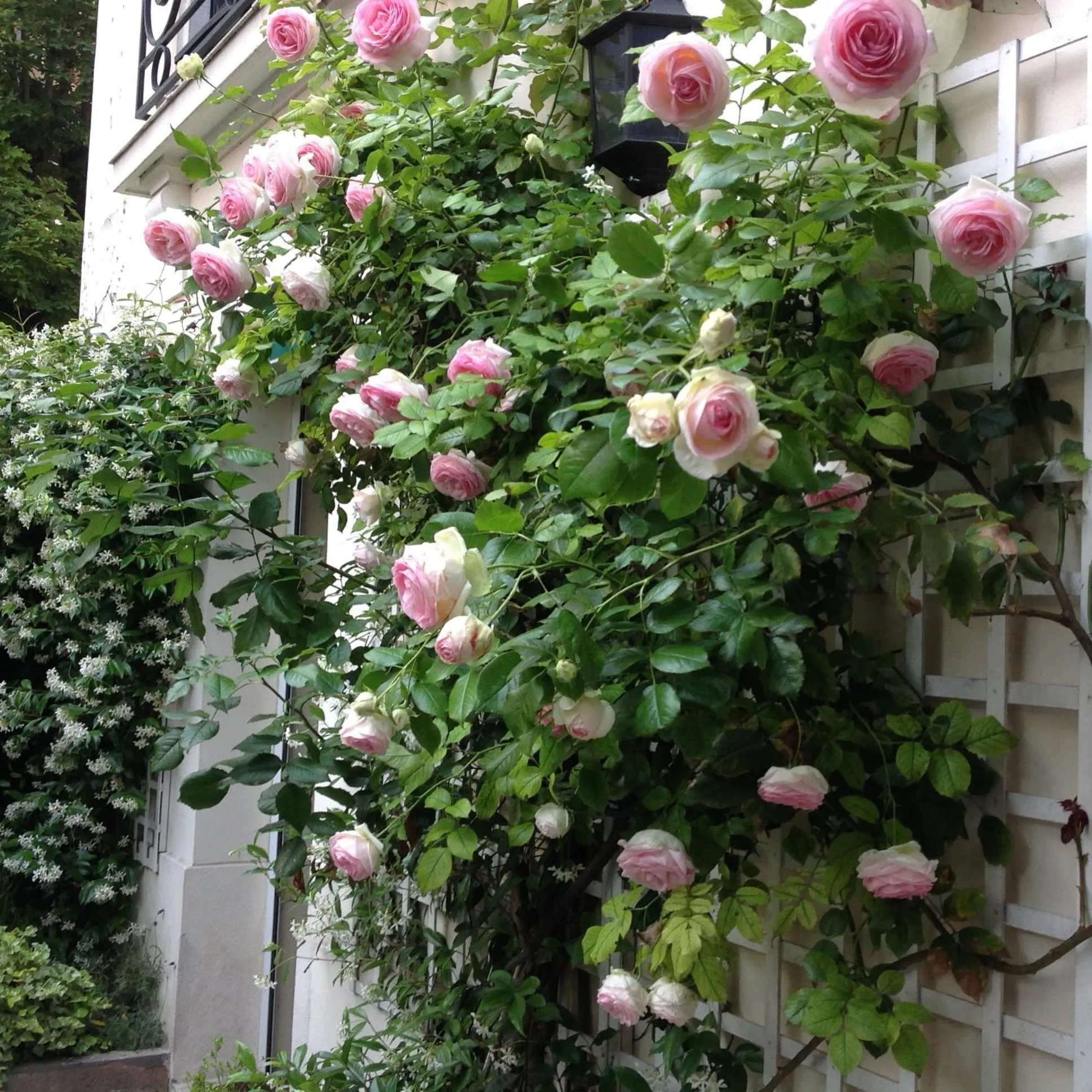 Spring in 1 Square du Docteur Blanche - Paris 16