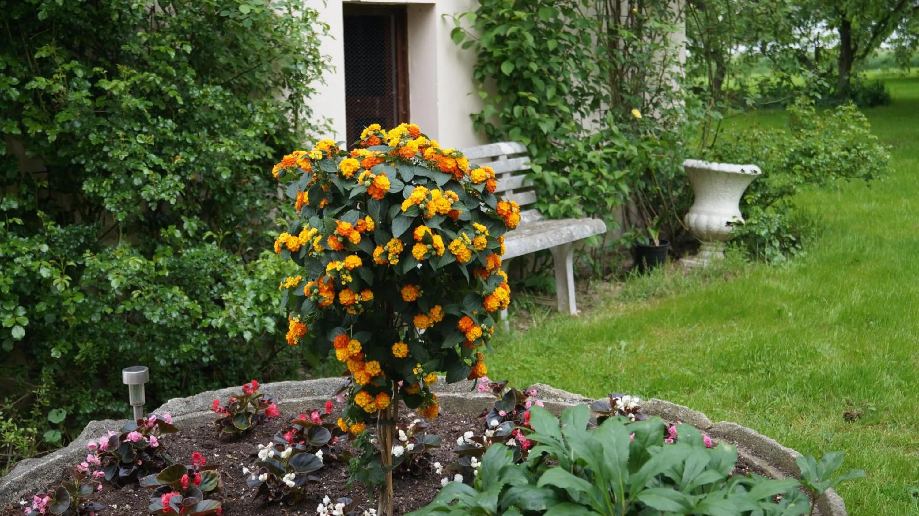 Garden in Richzenhainer-Hof