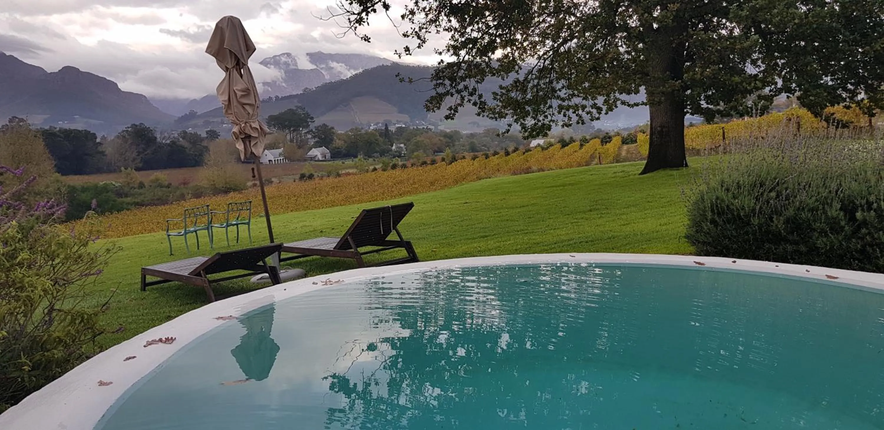 Garden in La Cotte Forest Cottages