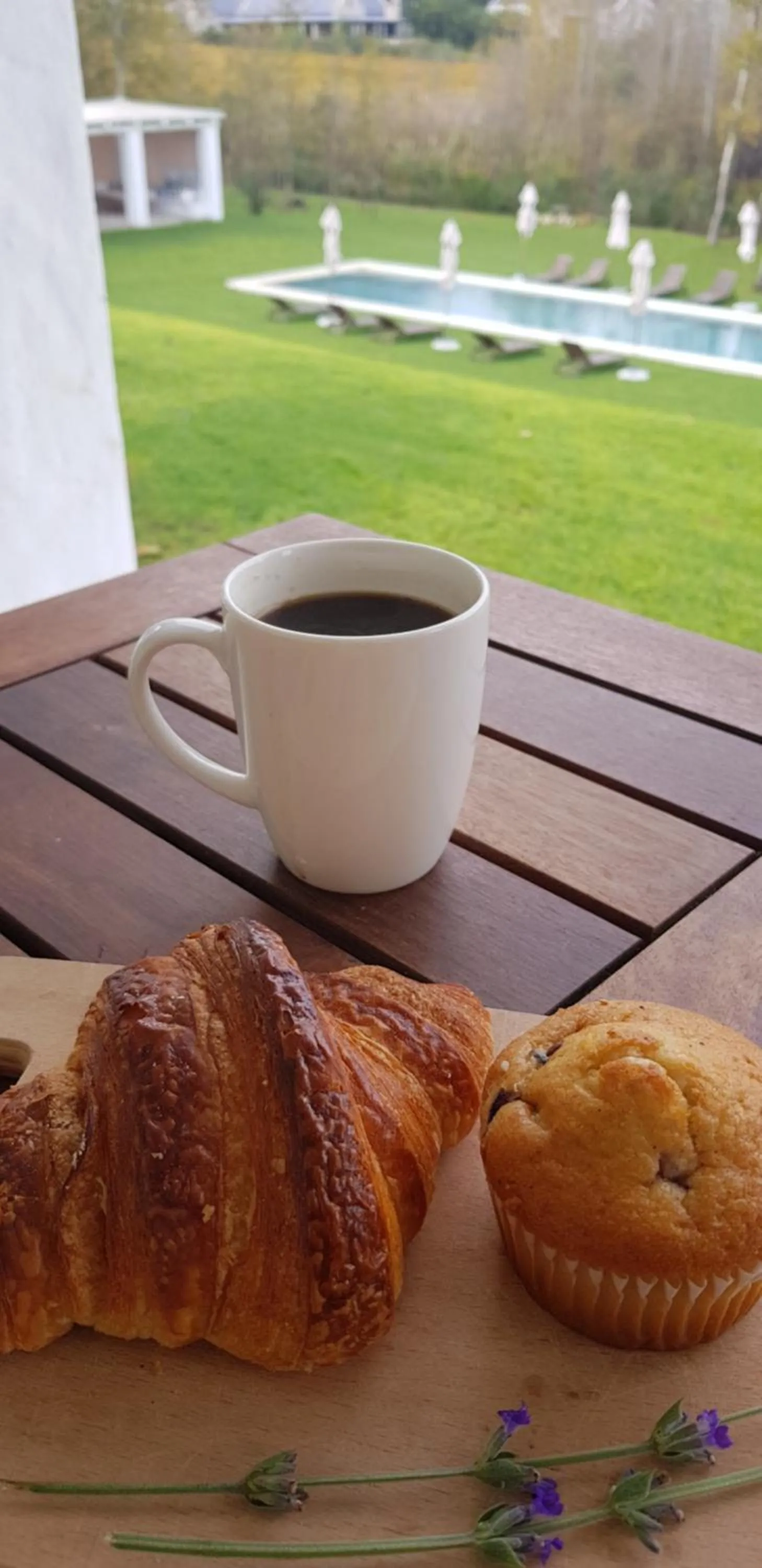 Patio in La Cotte Forest Cottages