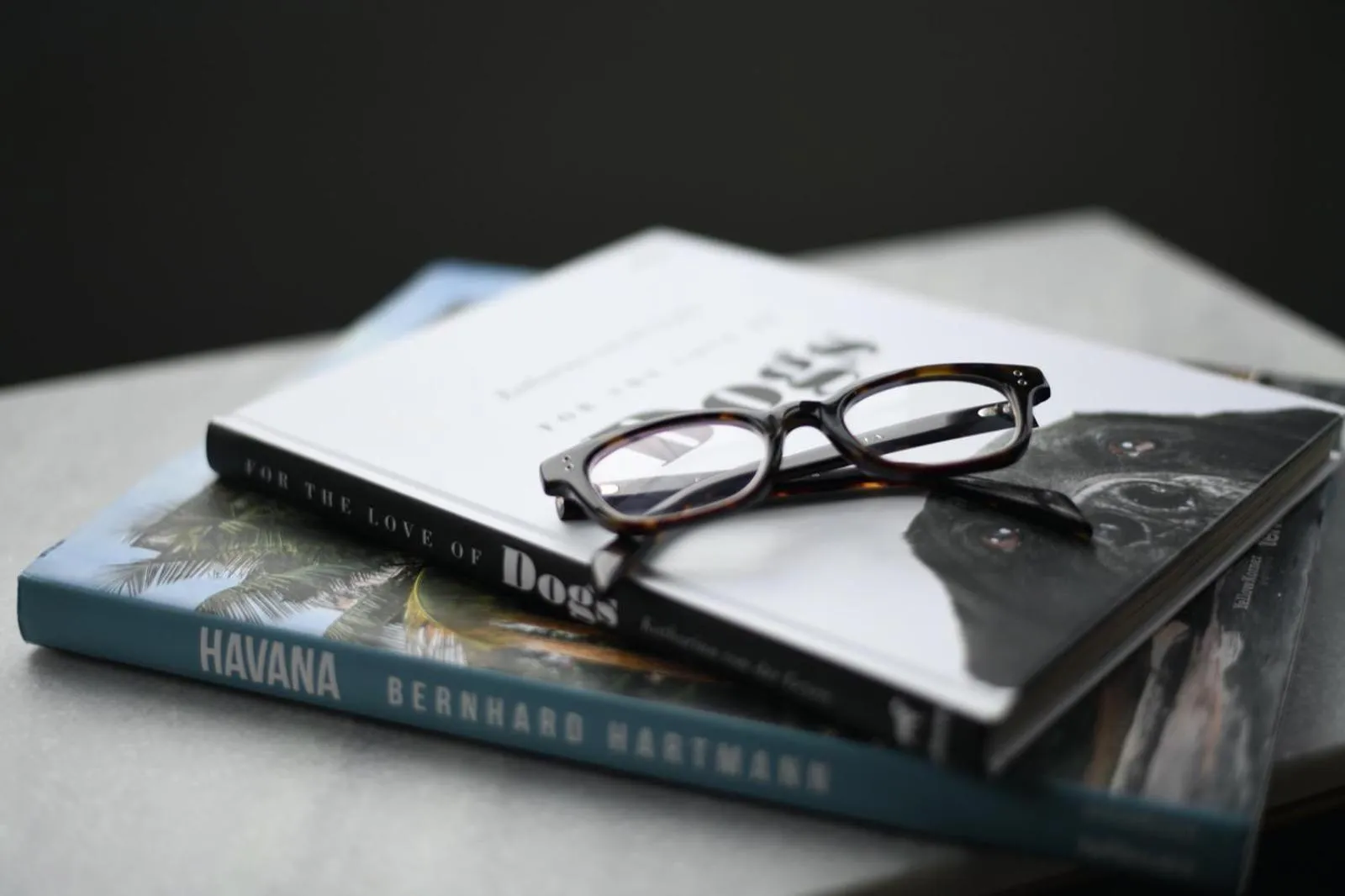 Bedroom in The Lodge Hotel - Putney