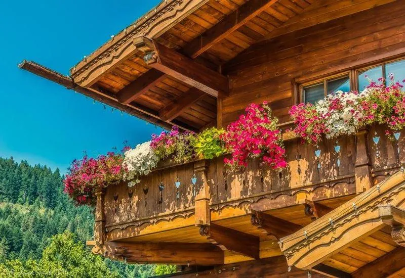 Property building in Abendblume