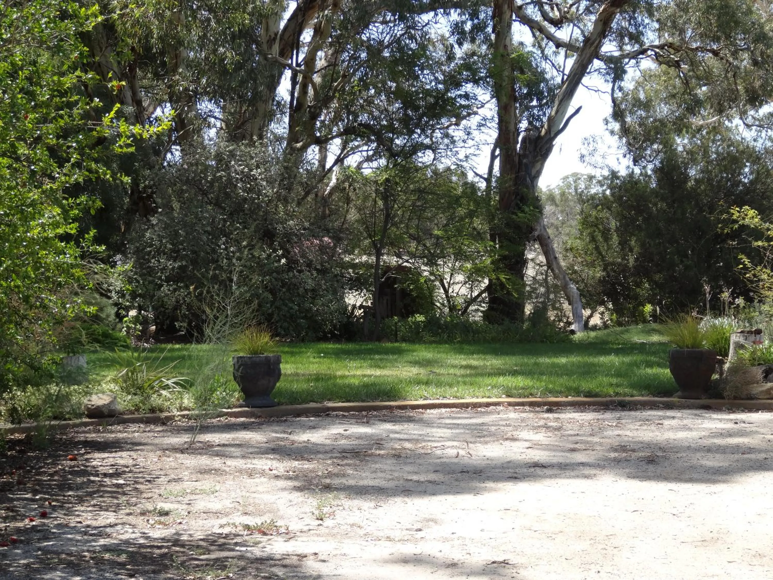 Natural landscape in Mapperley Bed and Breakfast