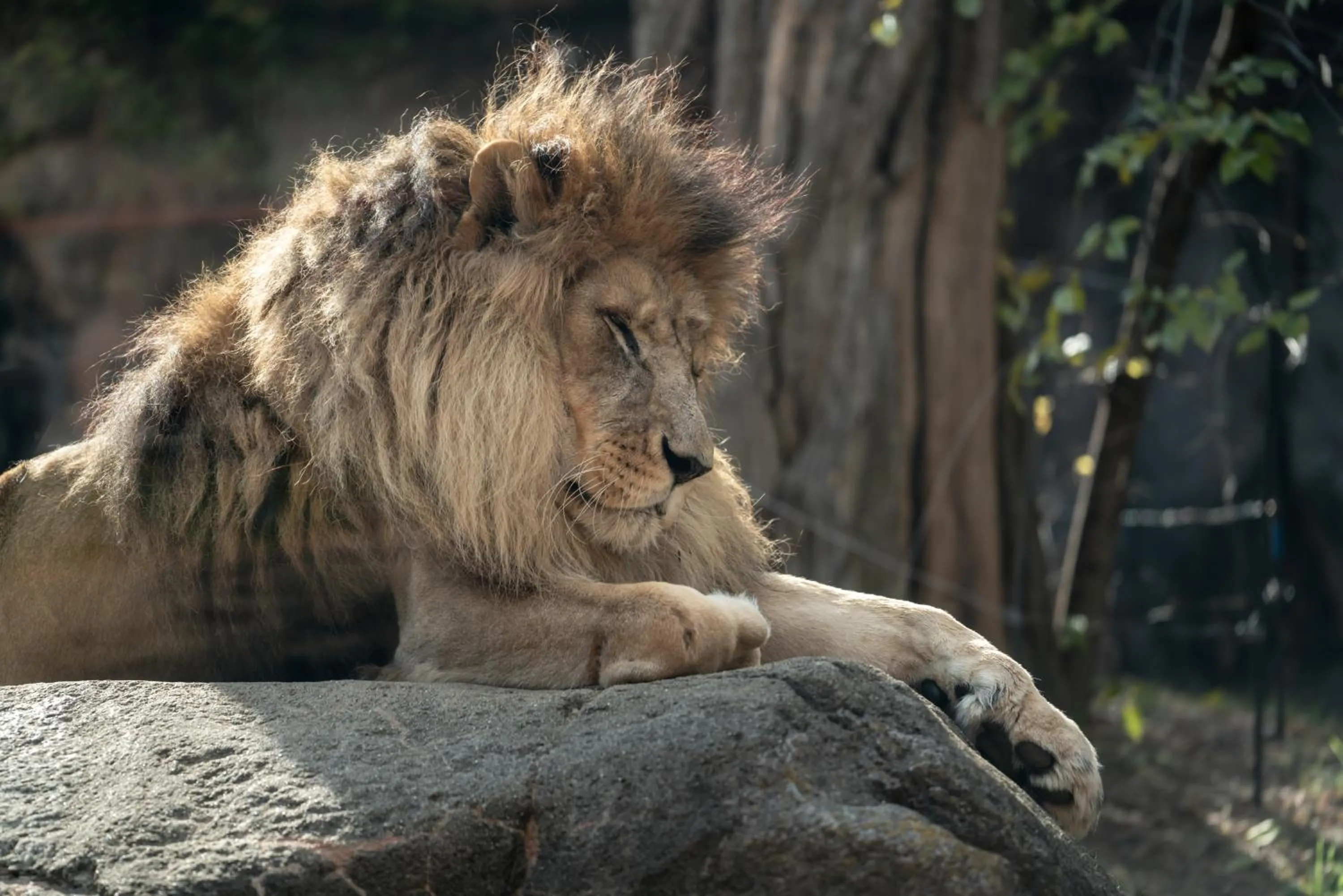 Nearby landmark in Waqoo Shitaderamachi