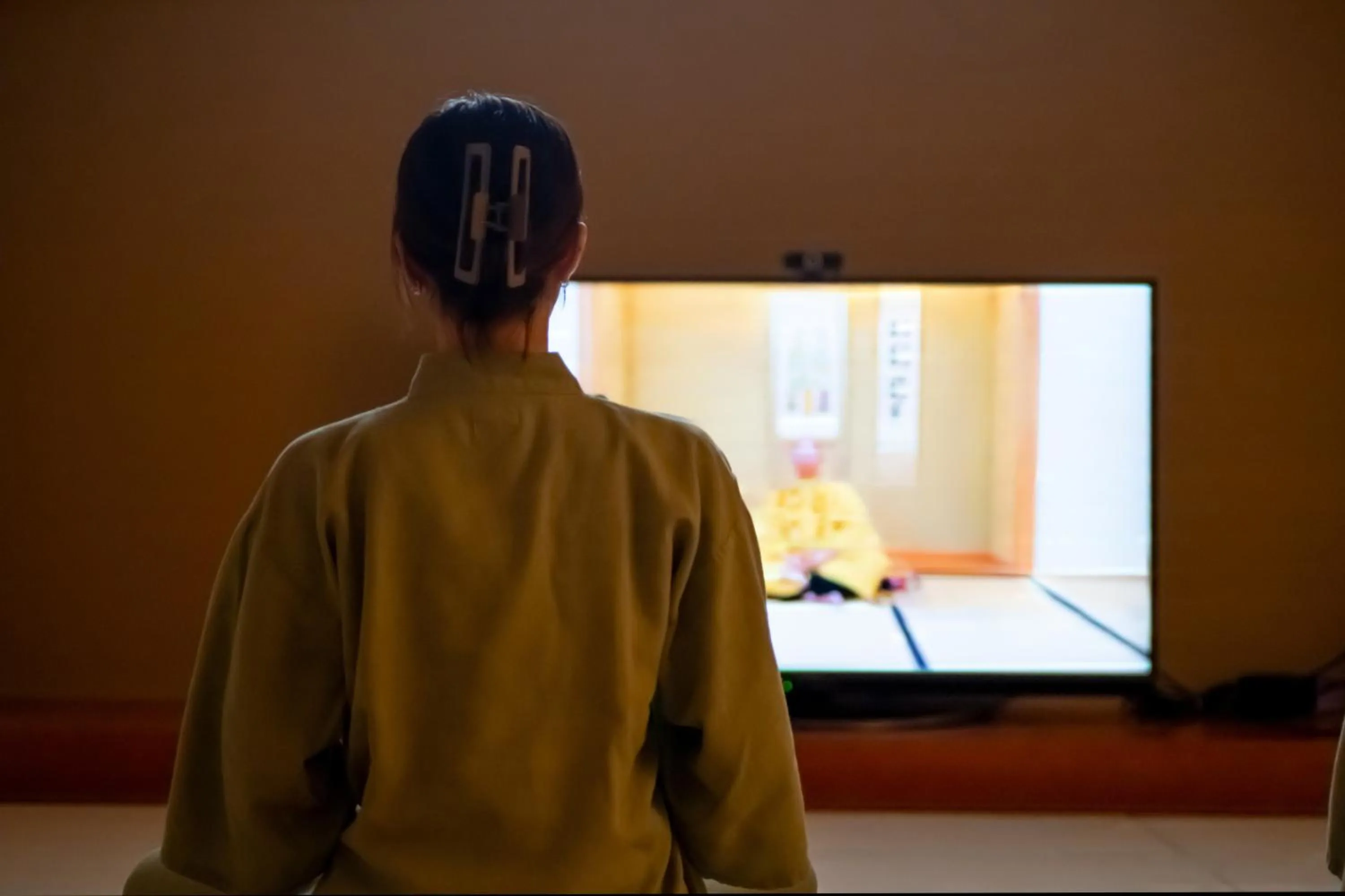 Activities in Waqoo Shitaderamachi