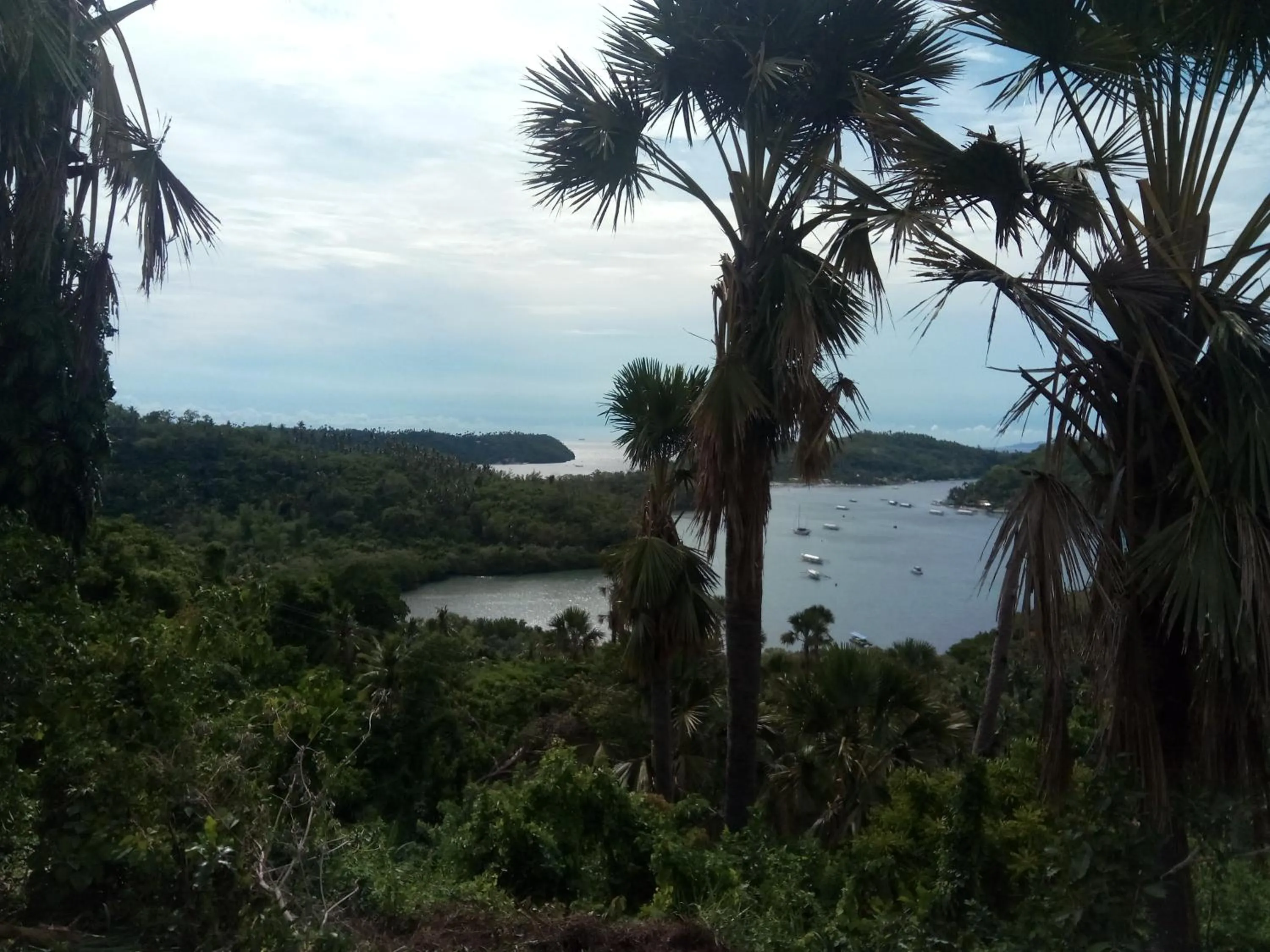 View (from property/room) in Dahilig Resort