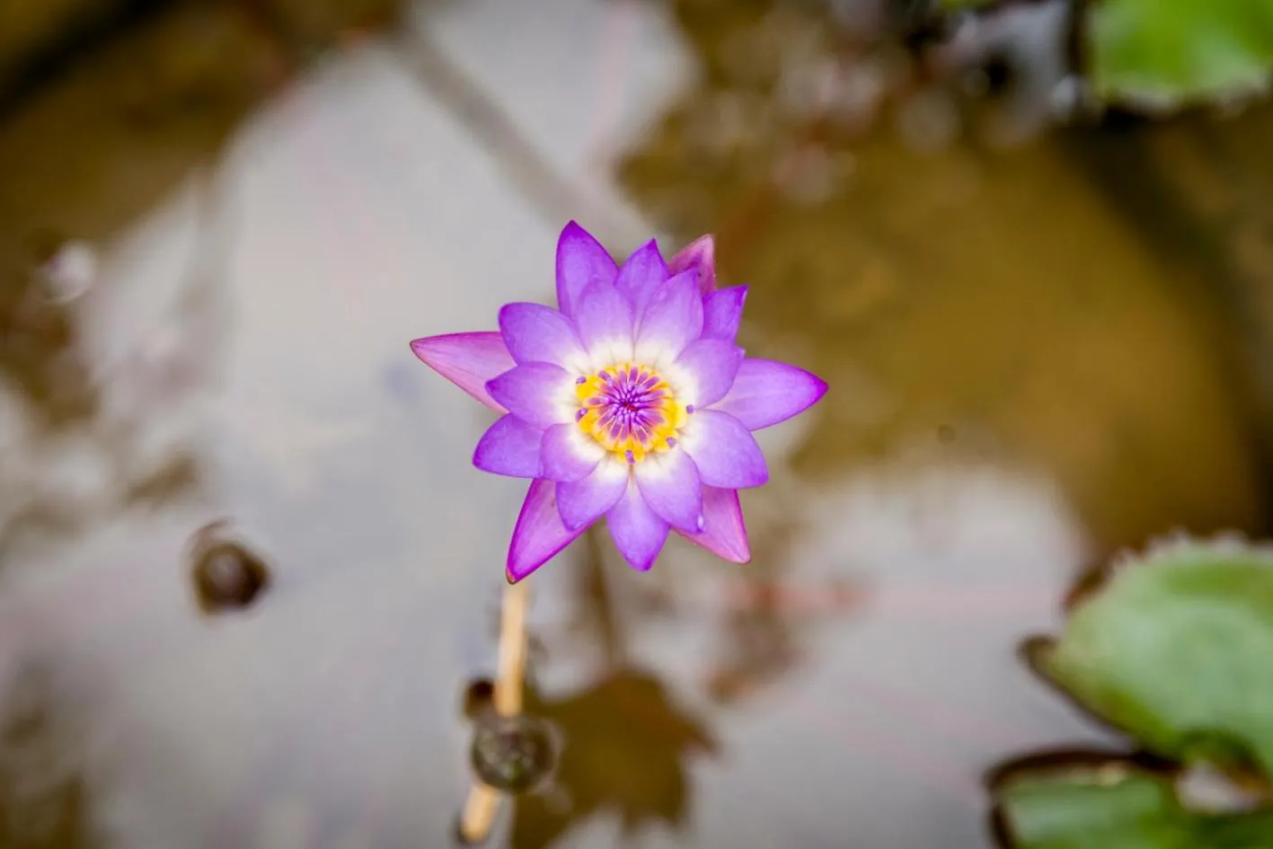 Central Boutique Hotel