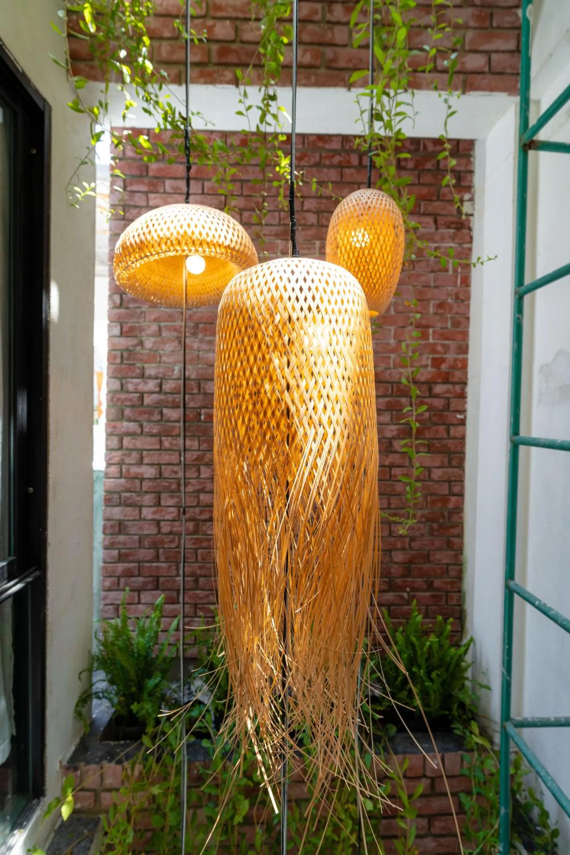 Tribee Cotu - Hostel