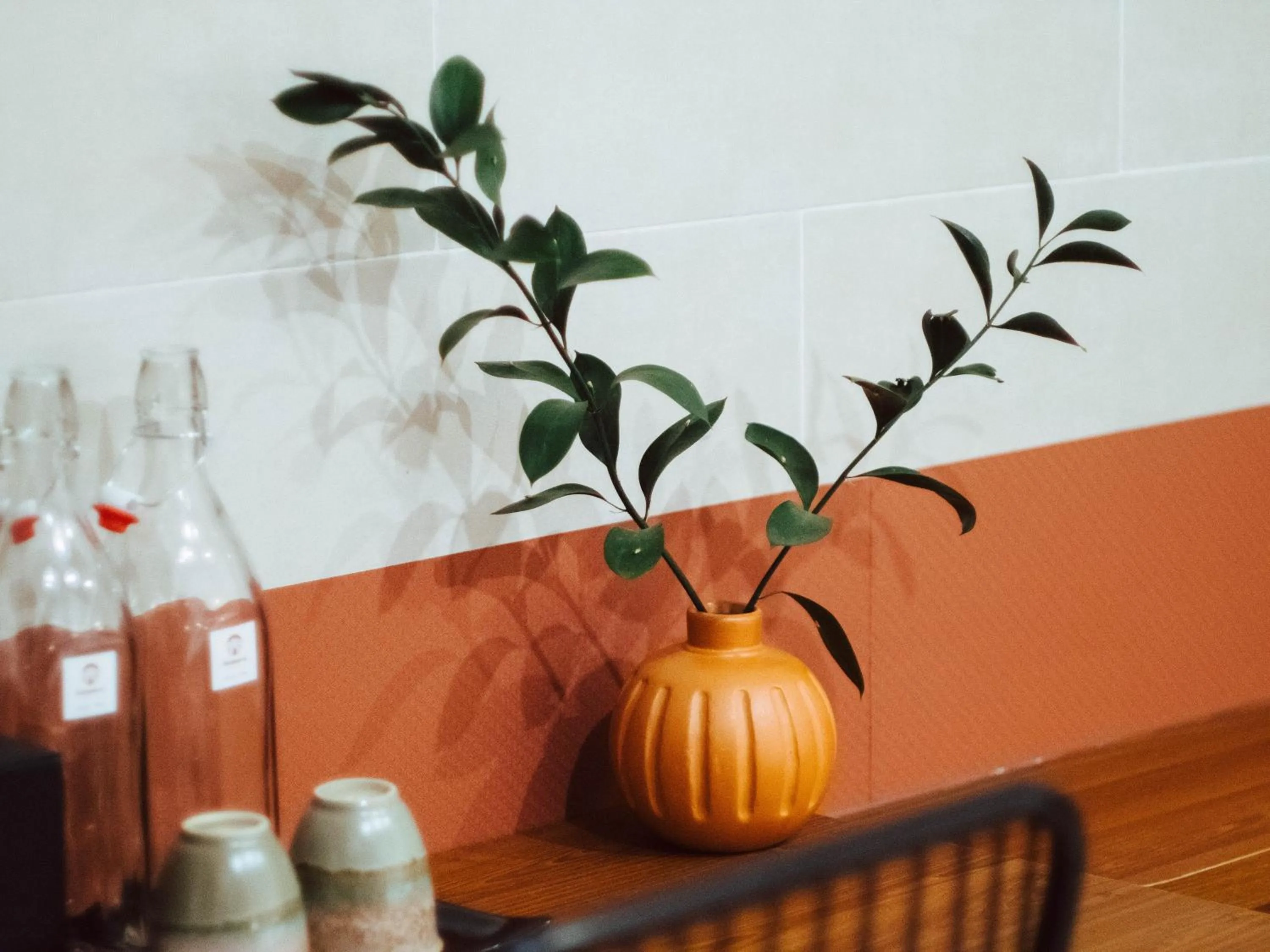 Tribee Cotu - Hostel