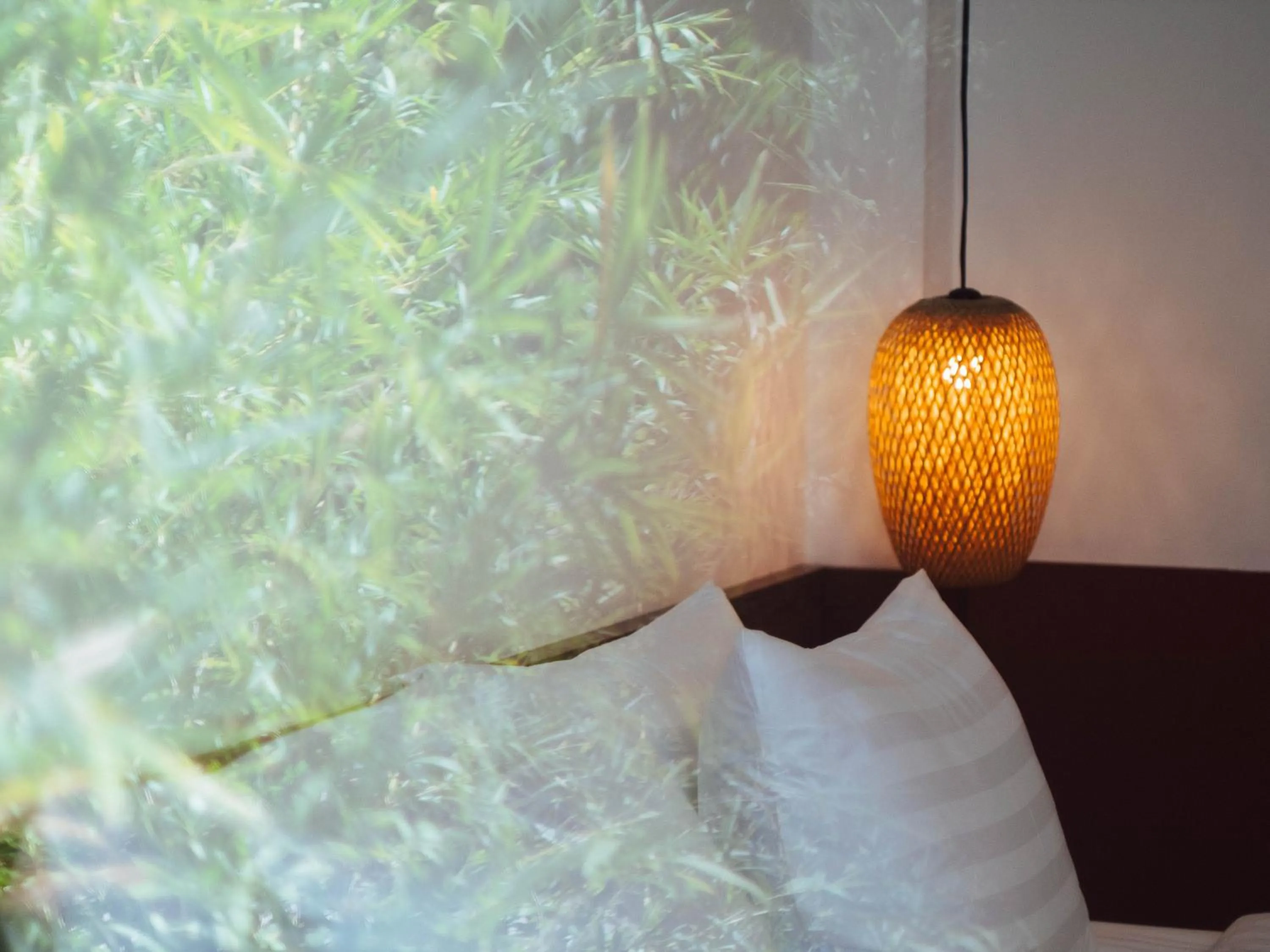 Tribee Cotu - Hostel