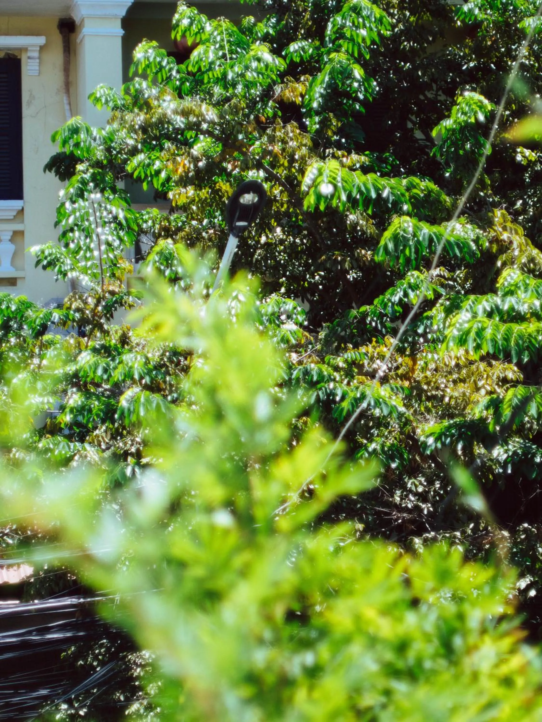 Balcony/Terrace in Tribee Cotu - Hostel