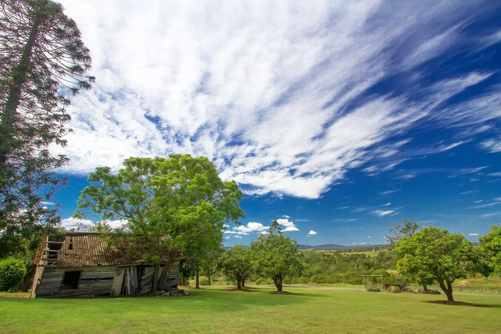 Bird's eye view in Woodlands of Marburg