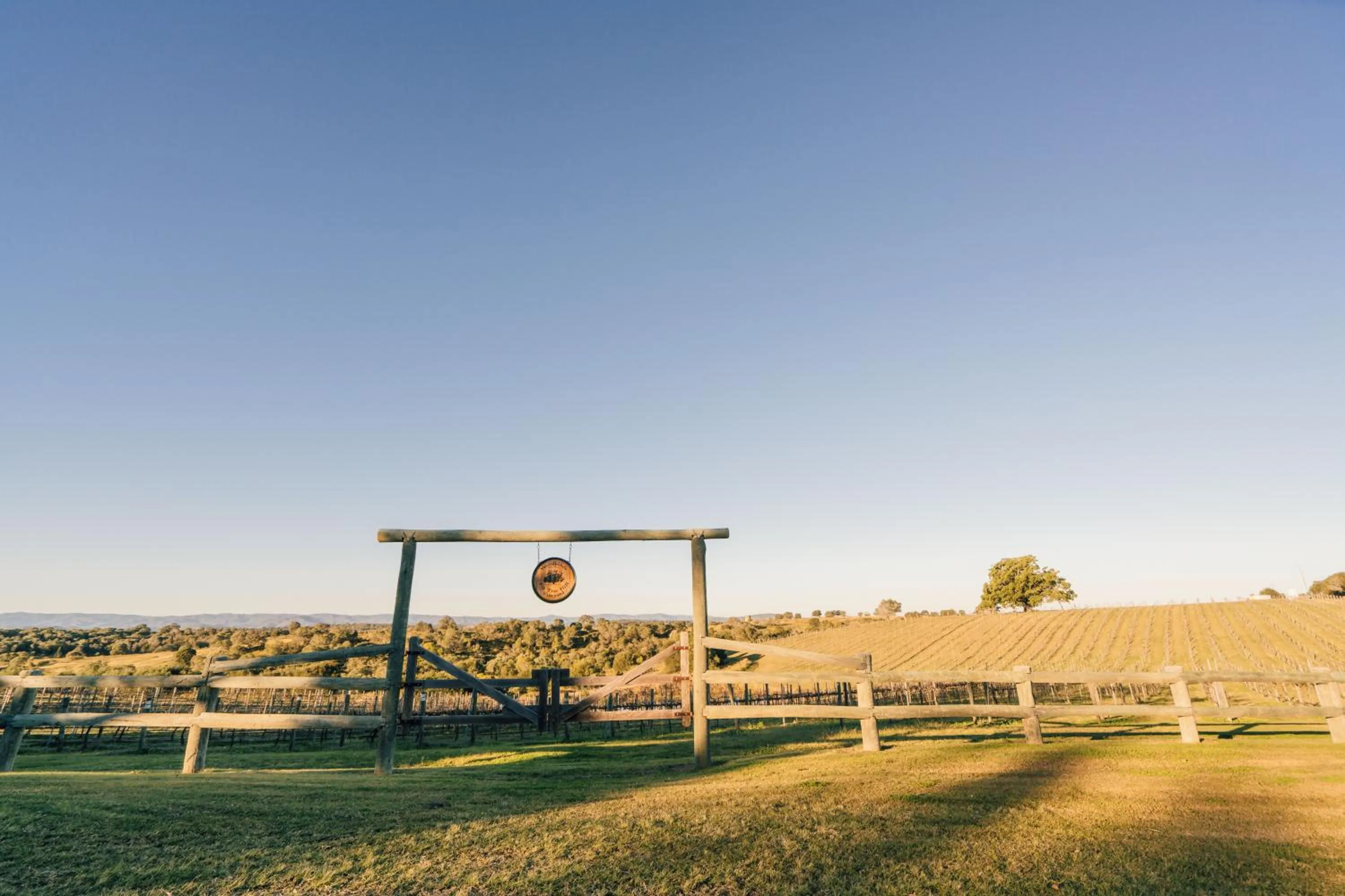 Woodlands of Marburg