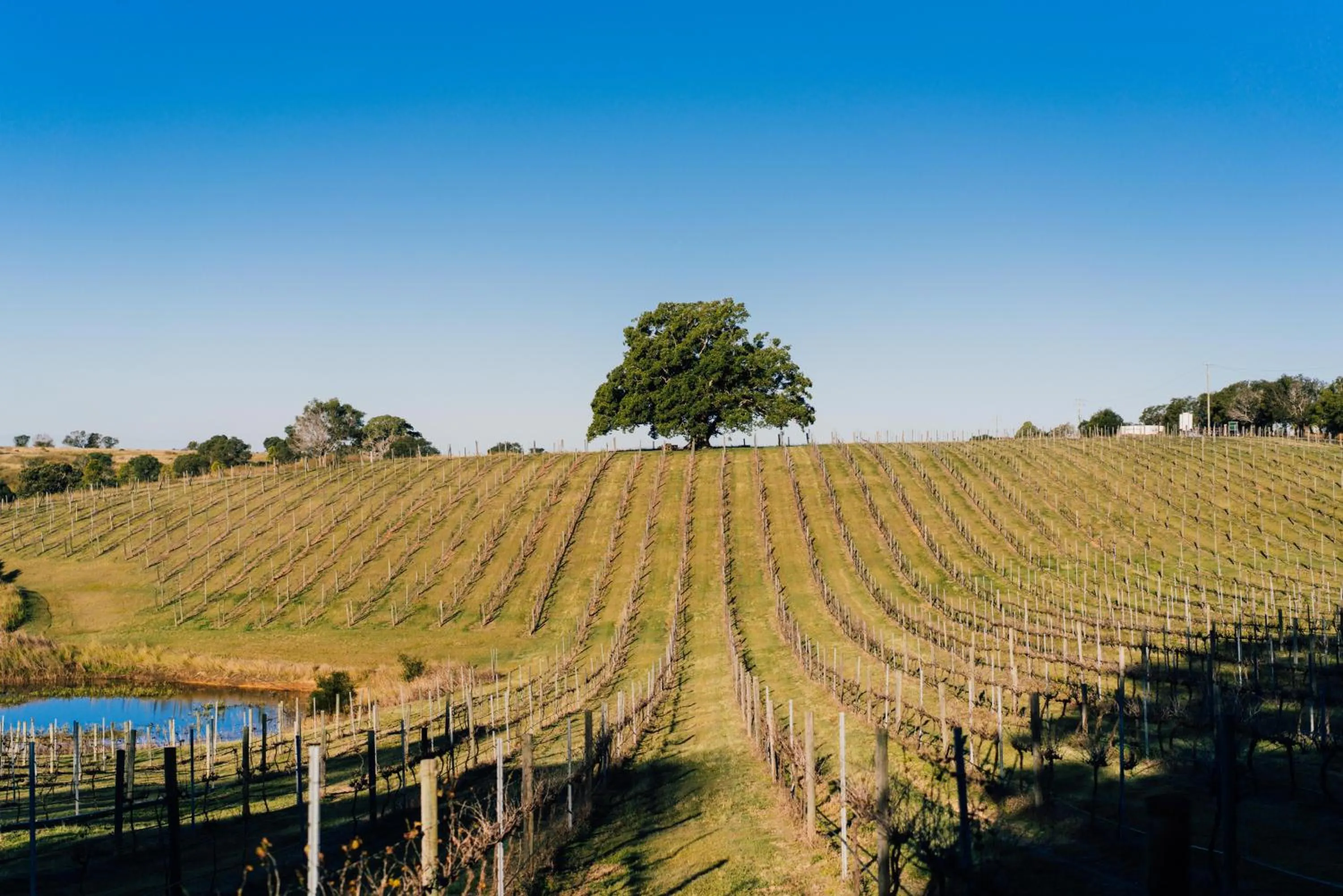 Woodlands of Marburg