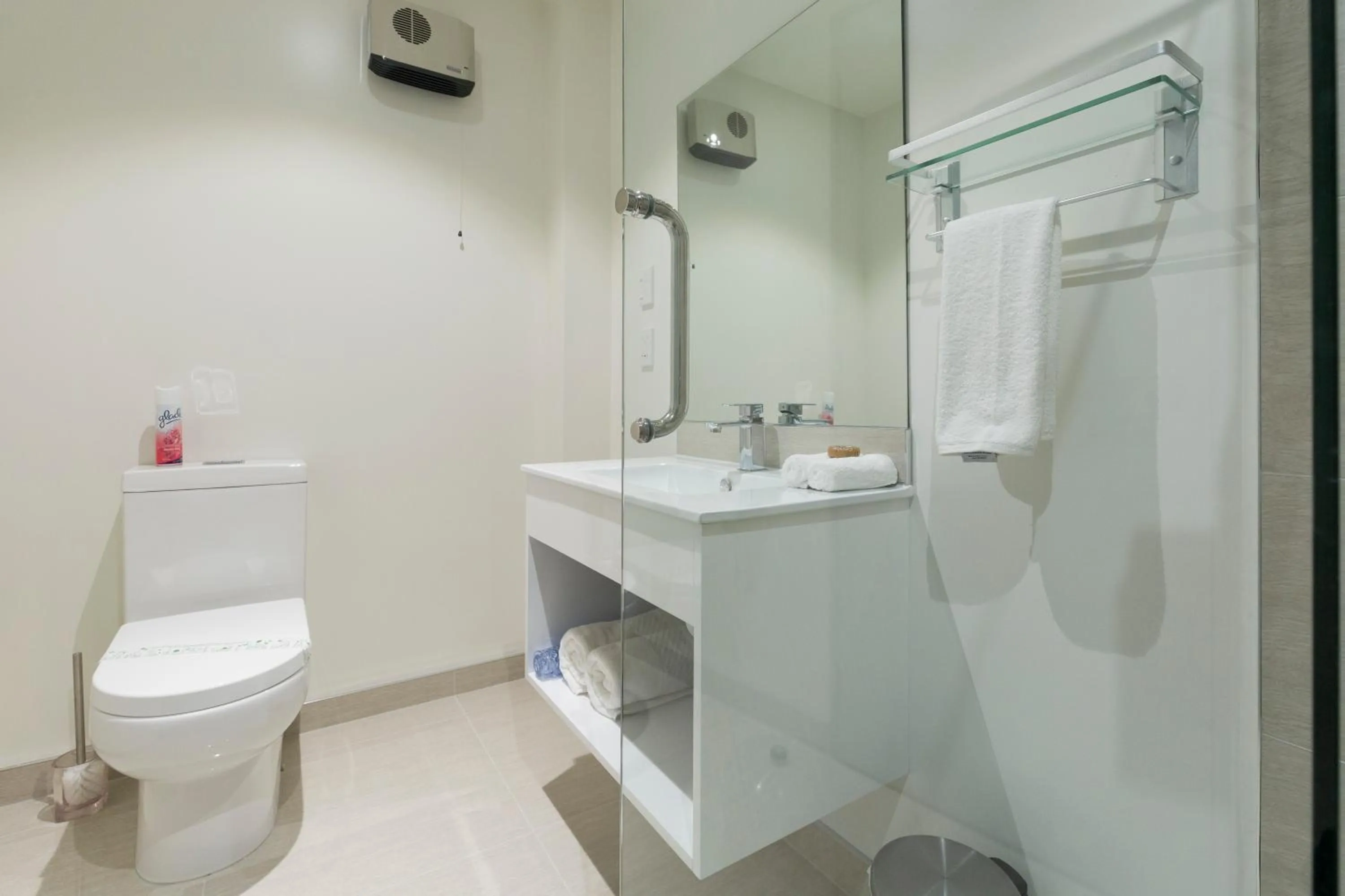 Toilet in 2 on Whiteleigh and 239 on Lincoln Motel