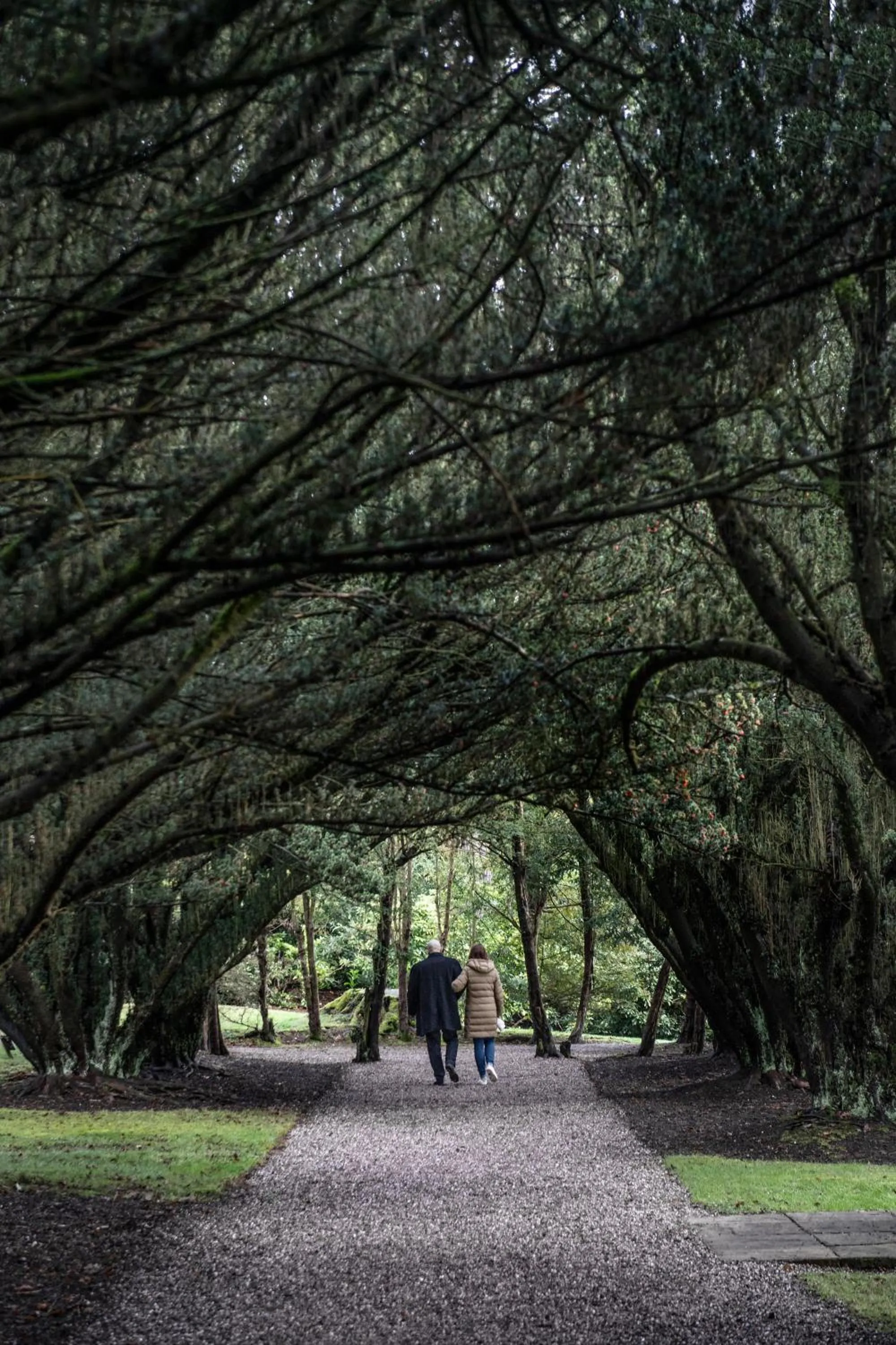 Natural landscape in New Hall Hotel & Spa, Birmingham