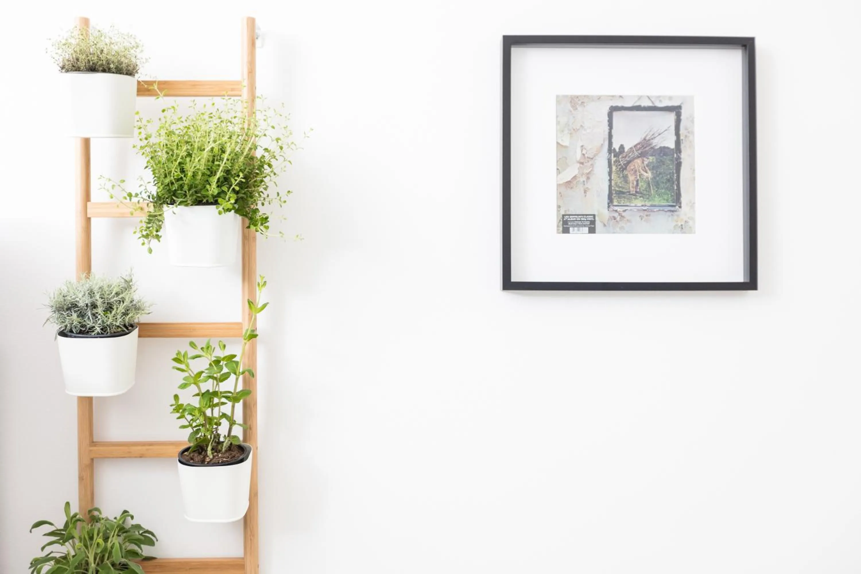 Decorative detail in Chill apartments