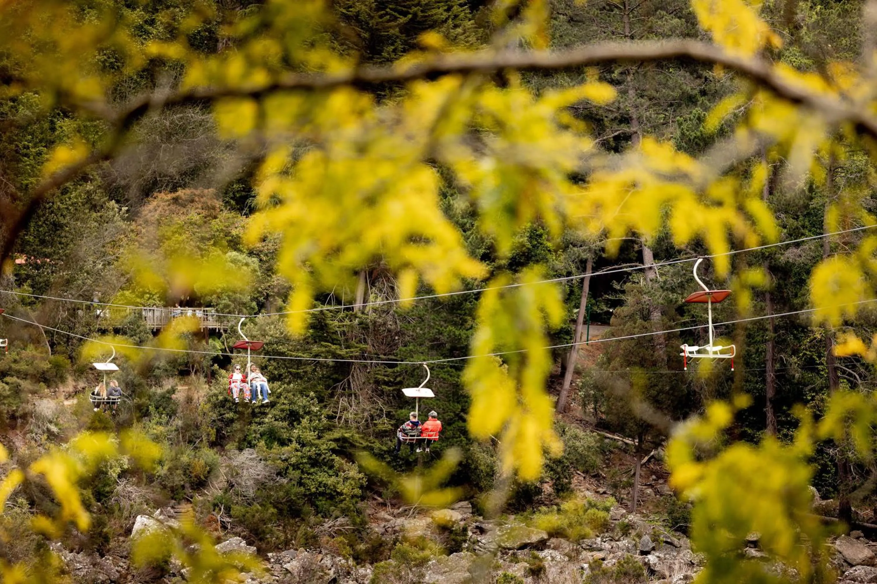 Activities in BIG4 Launceston Holiday Park