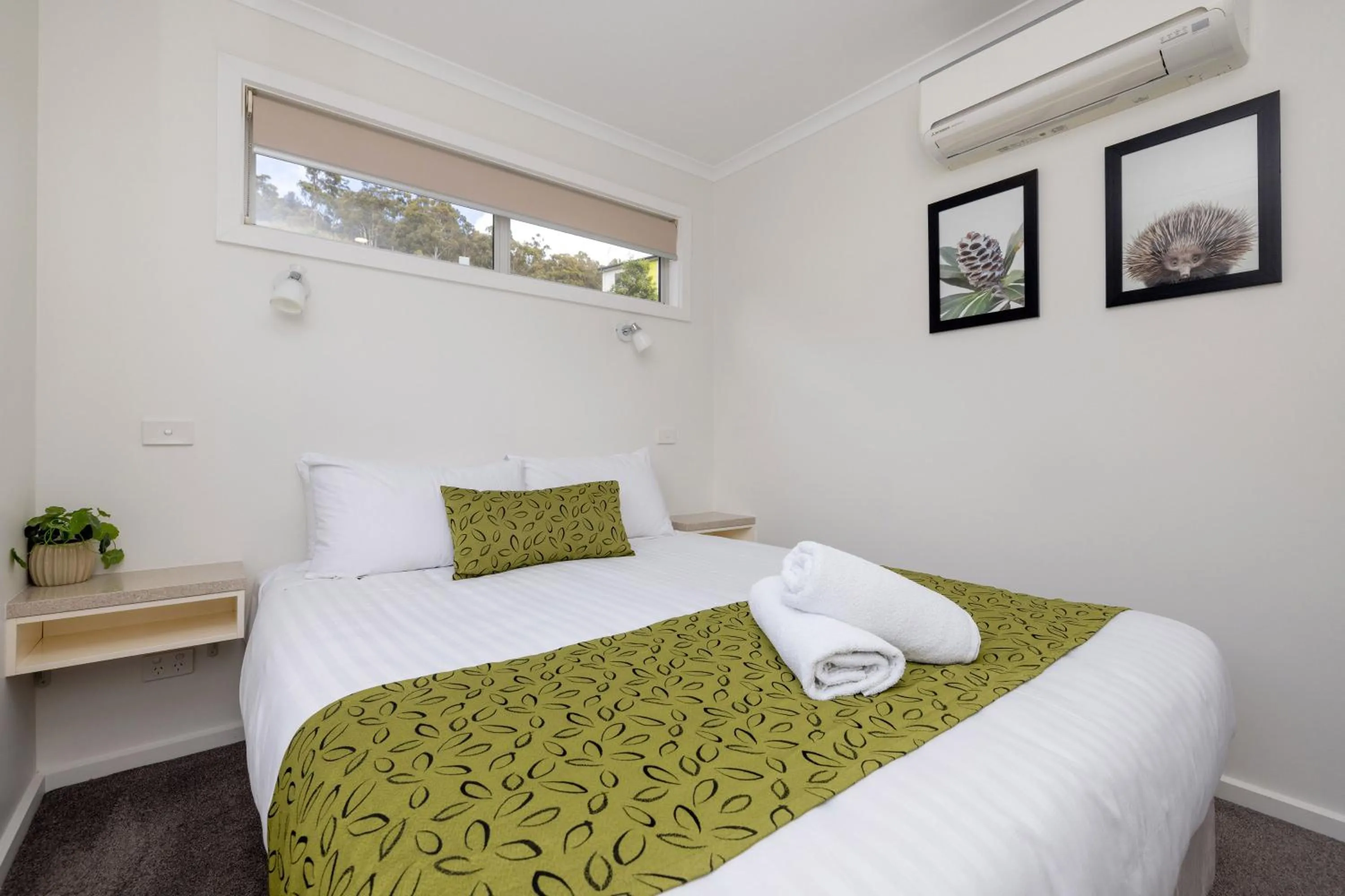 Bed in BIG4 Launceston Holiday Park