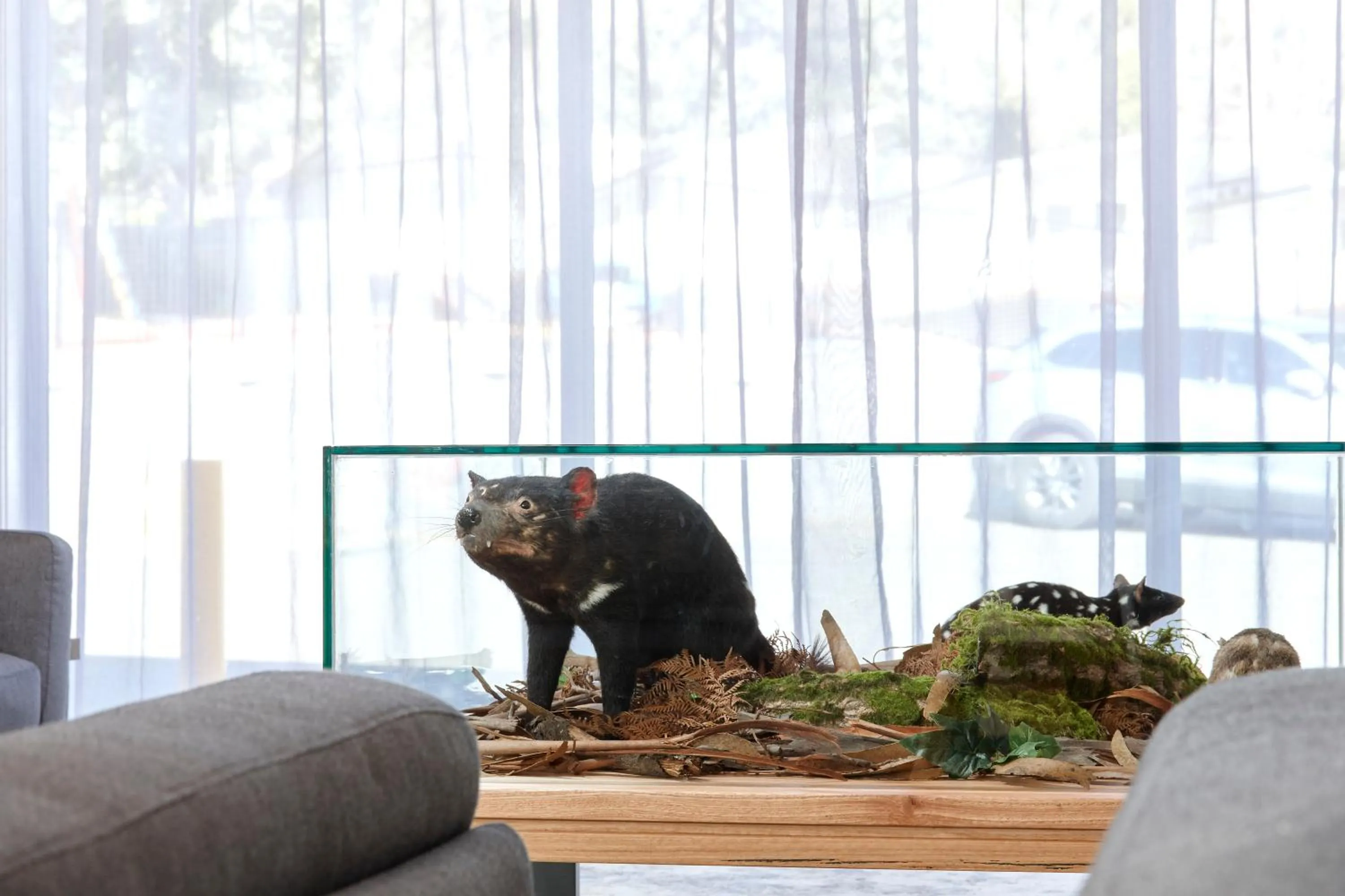 Property building in BIG4 Launceston Holiday Park