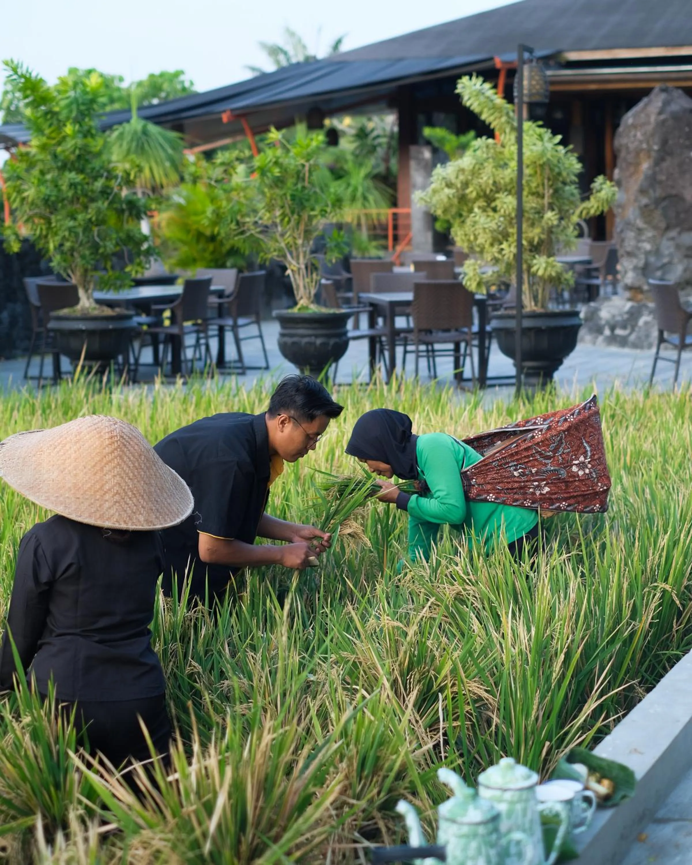 View (from property/room) in Abhayagiri - Sumberwatu Heritage Resort
