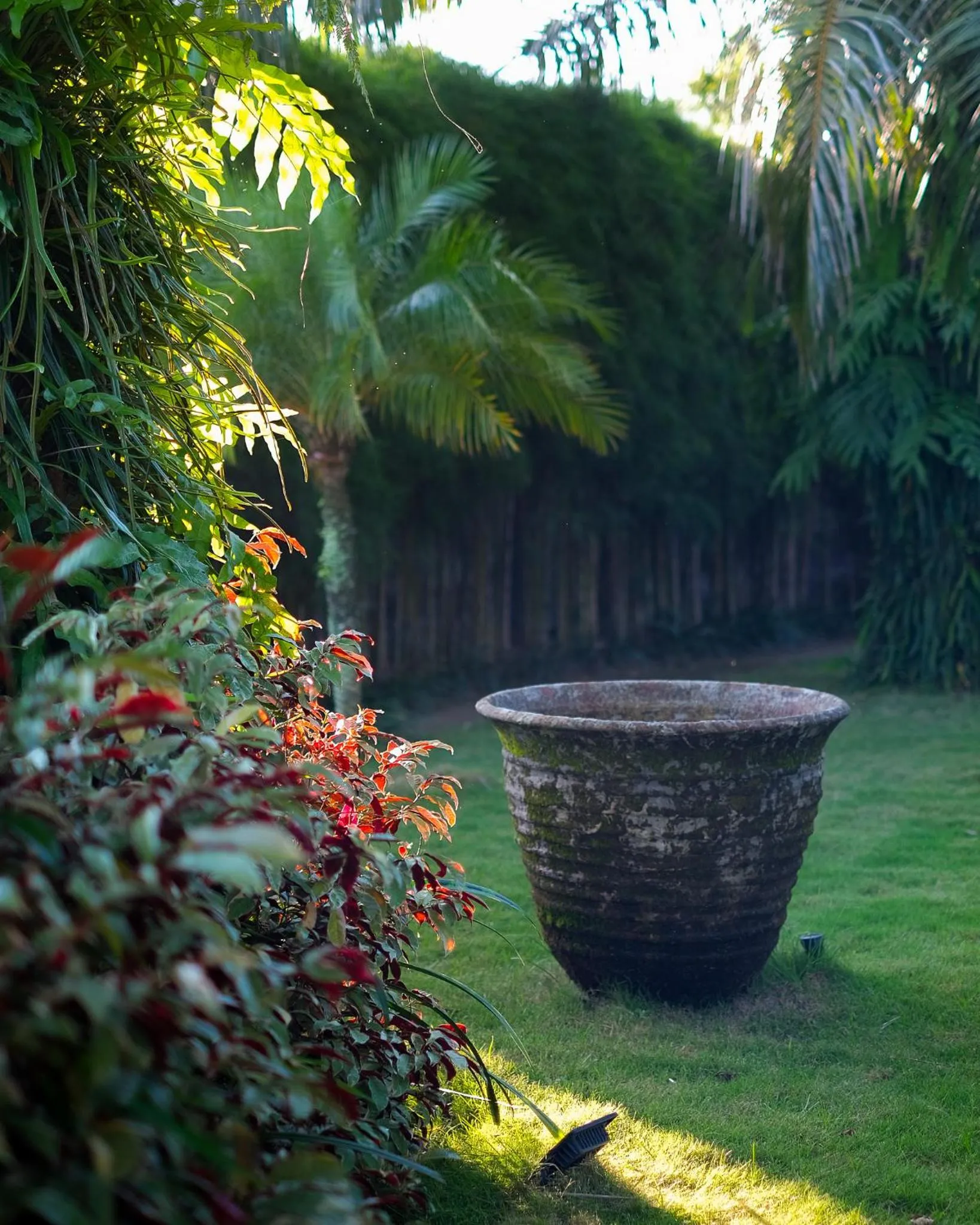 Garden in Abhayagiri - Sumberwatu Heritage Resort